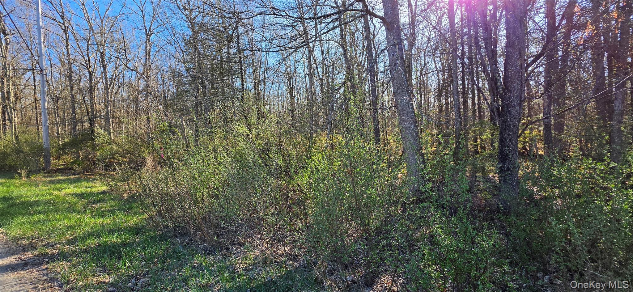 Lot 70 Cushetunk Drive Property Photo 1