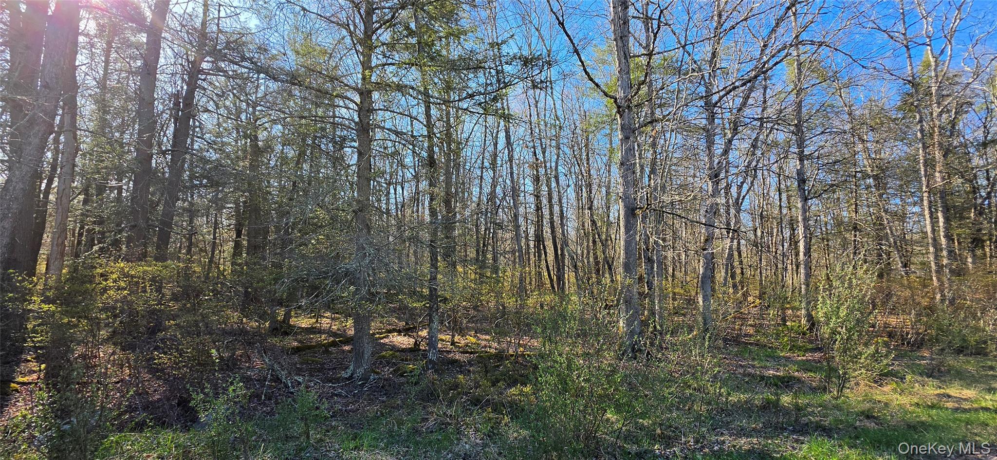Lot 70 Cushetunk Drive Property Photo 2