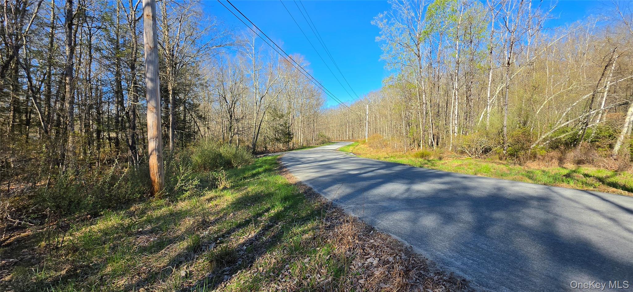 Lot 70 Cushetunk Drive Property Photo 3