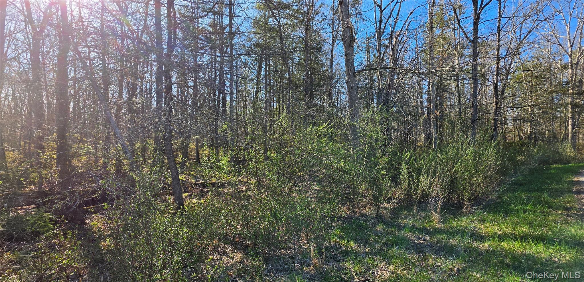 Lot 70 Cushetunk Drive Property Photo 4