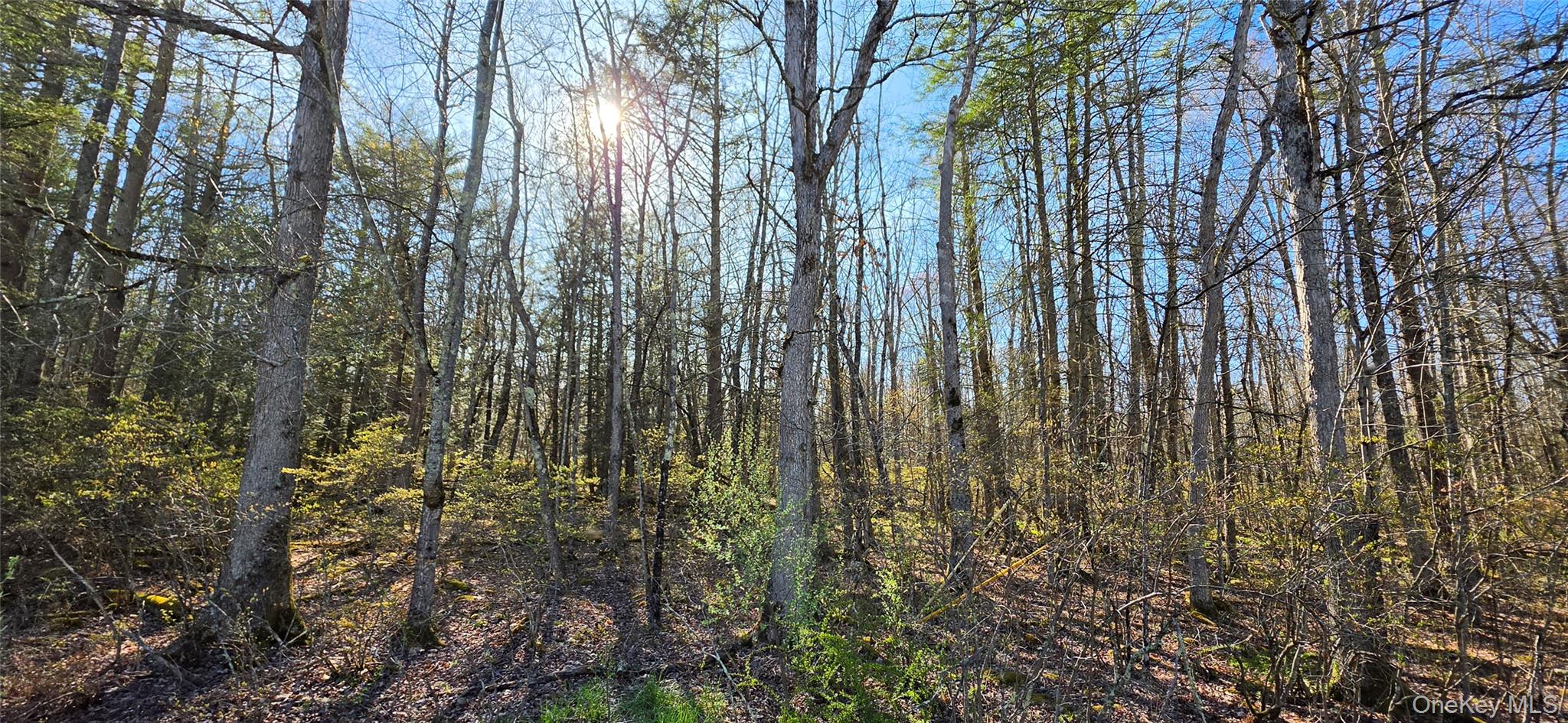 Lot 70 Cushetunk Drive Property Photo 5
