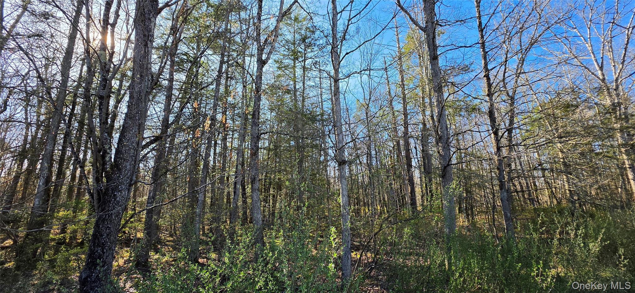 Lot 70 Cushetunk Drive Property Photo 6