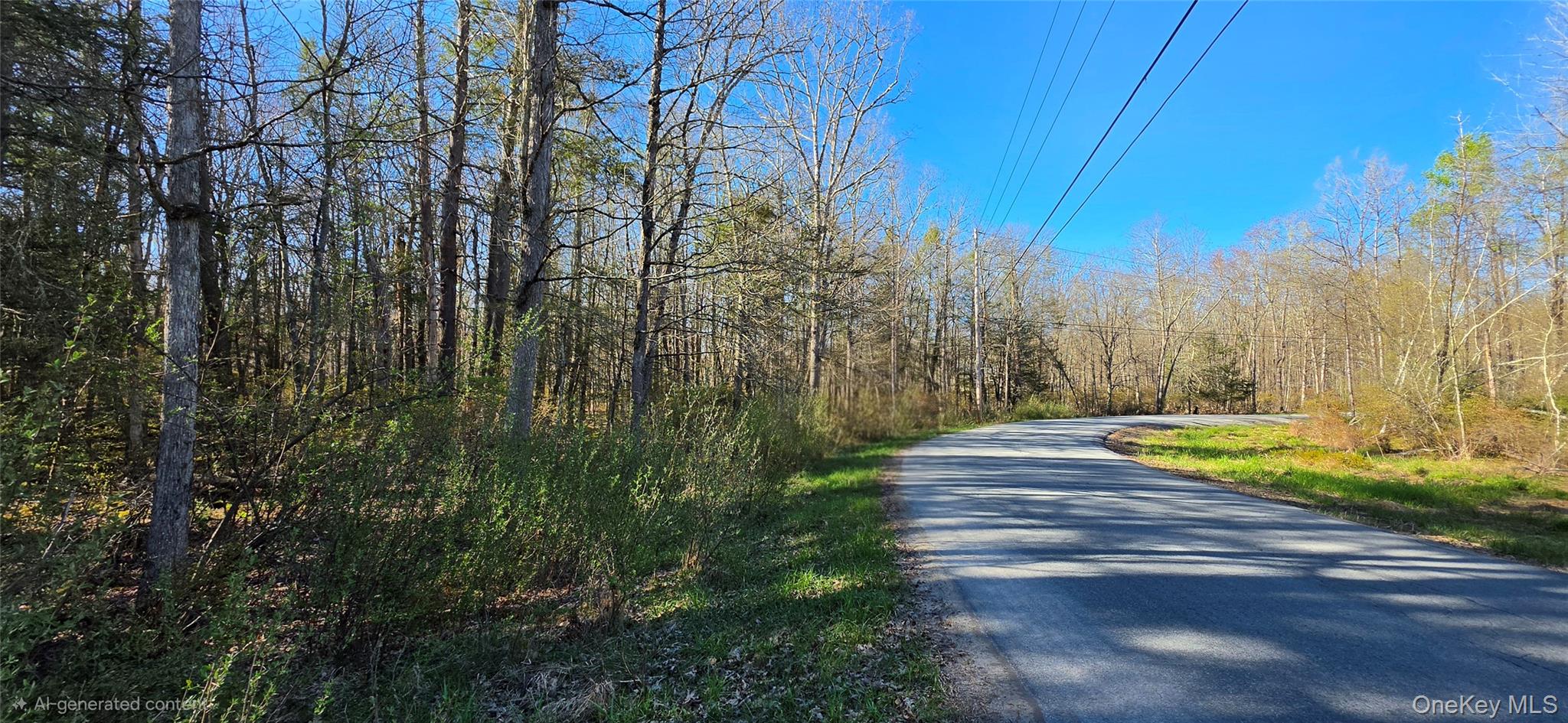 Lot 70 Cushetunk Drive Property Photo 7