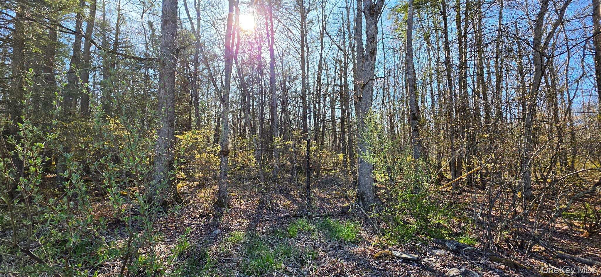 Lot 70 Cushetunk Drive Property Photo 8