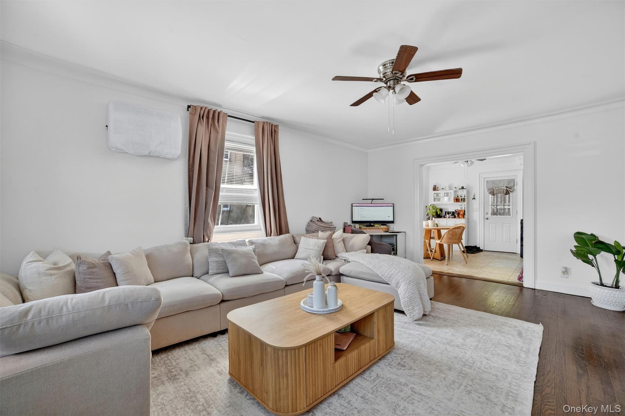 15 Halley Street Property Photo 5