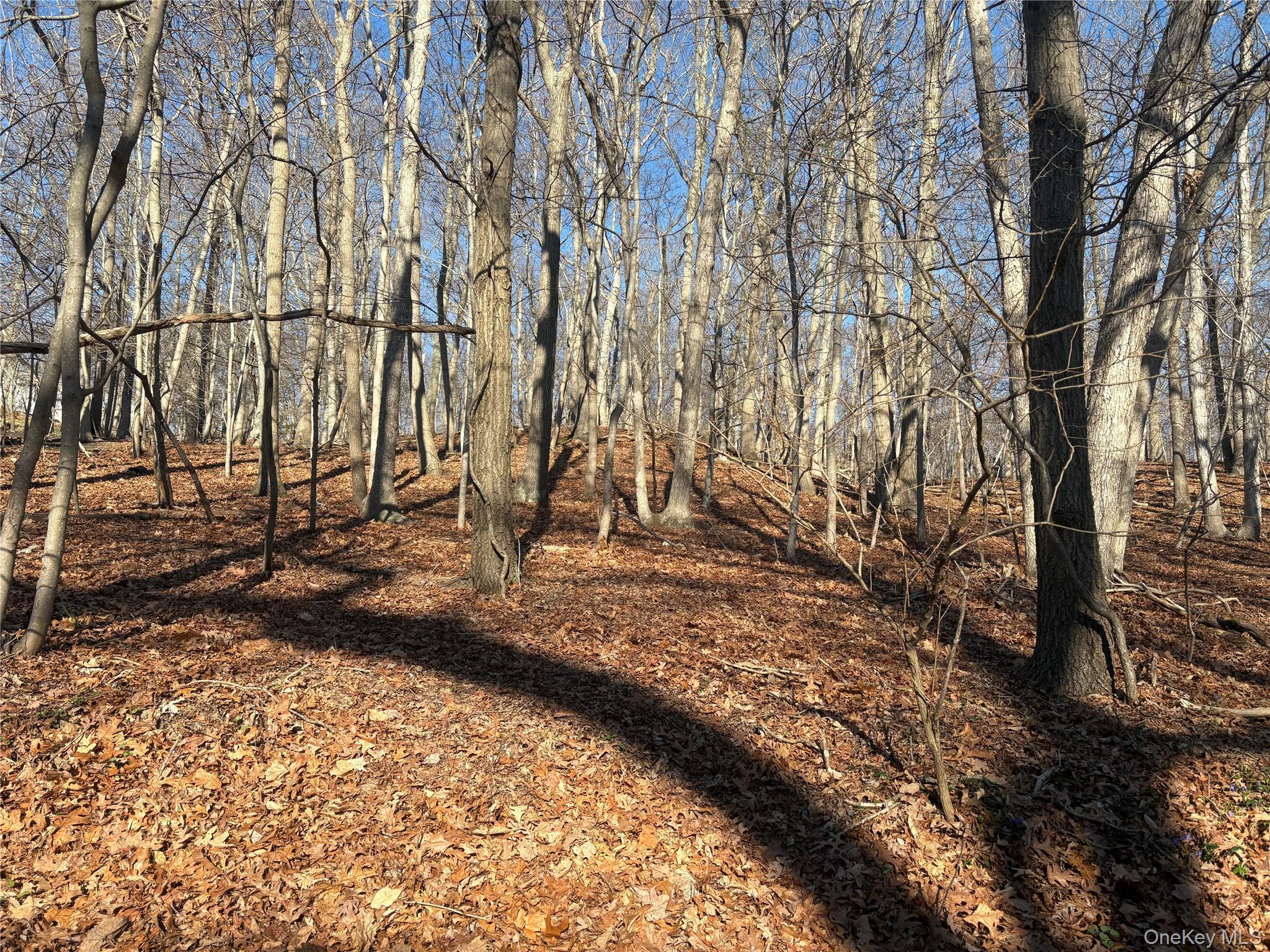 Woodhull Landing Woodhull Landing Property Photo 1
