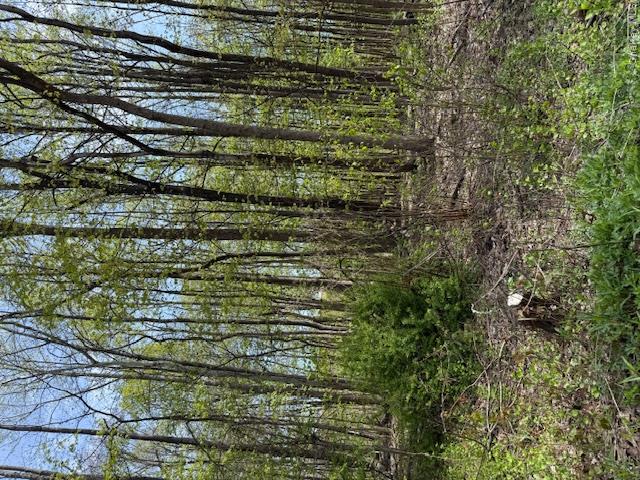 Route 300 Property Photo 3