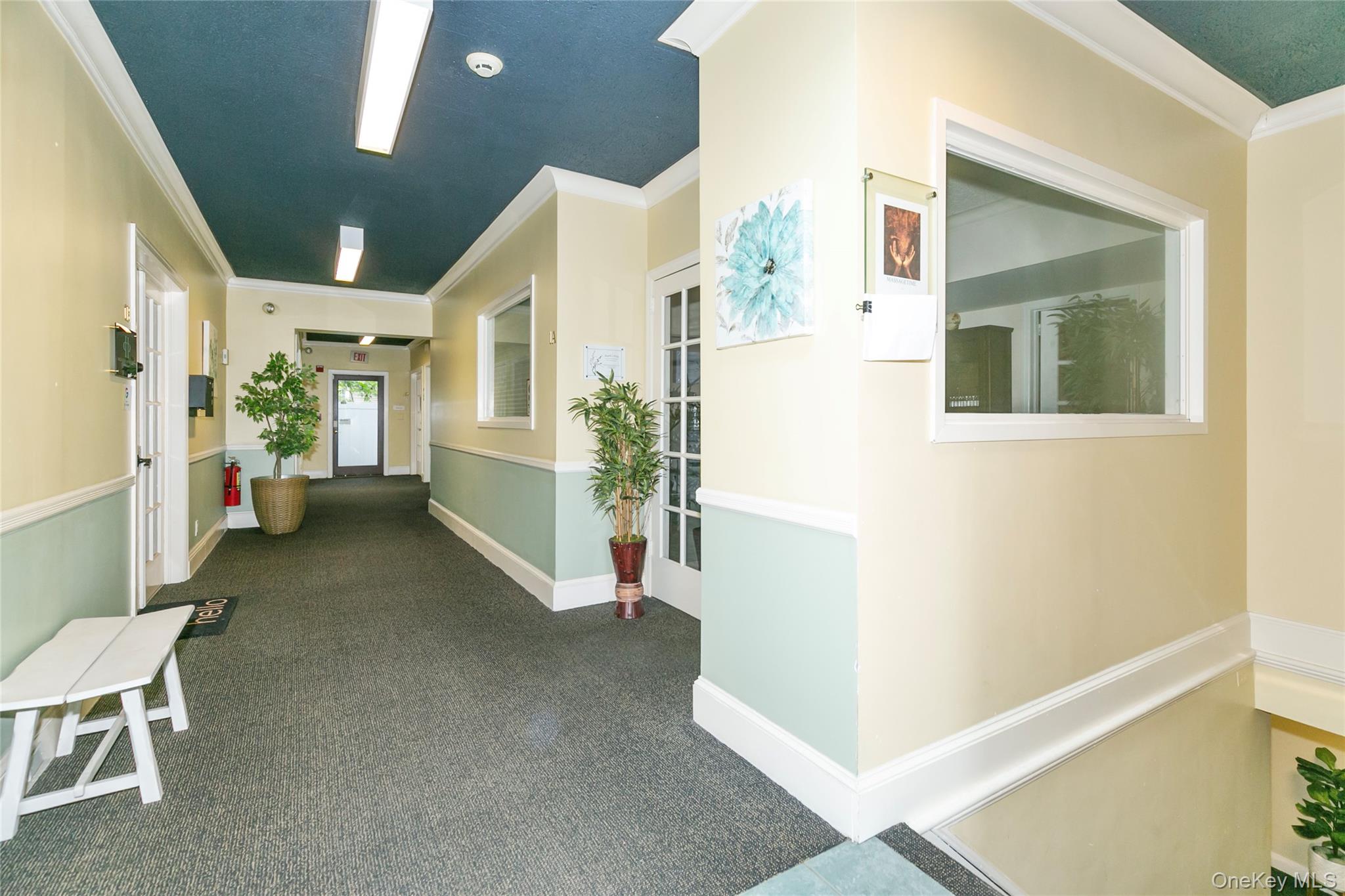 293 Castle Avenue Property Photo 4