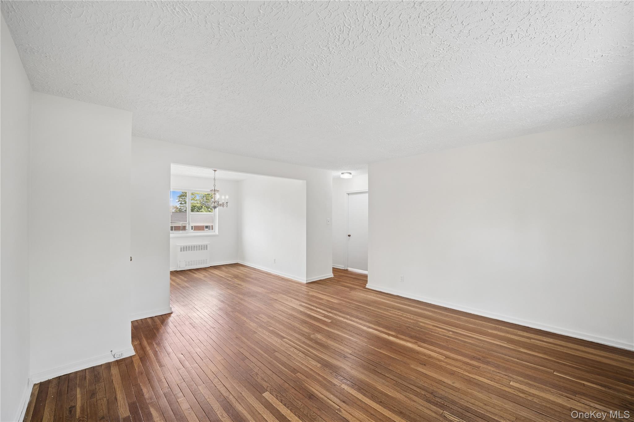 220-04 Stronghurst Avenue Lower Property Photo 3