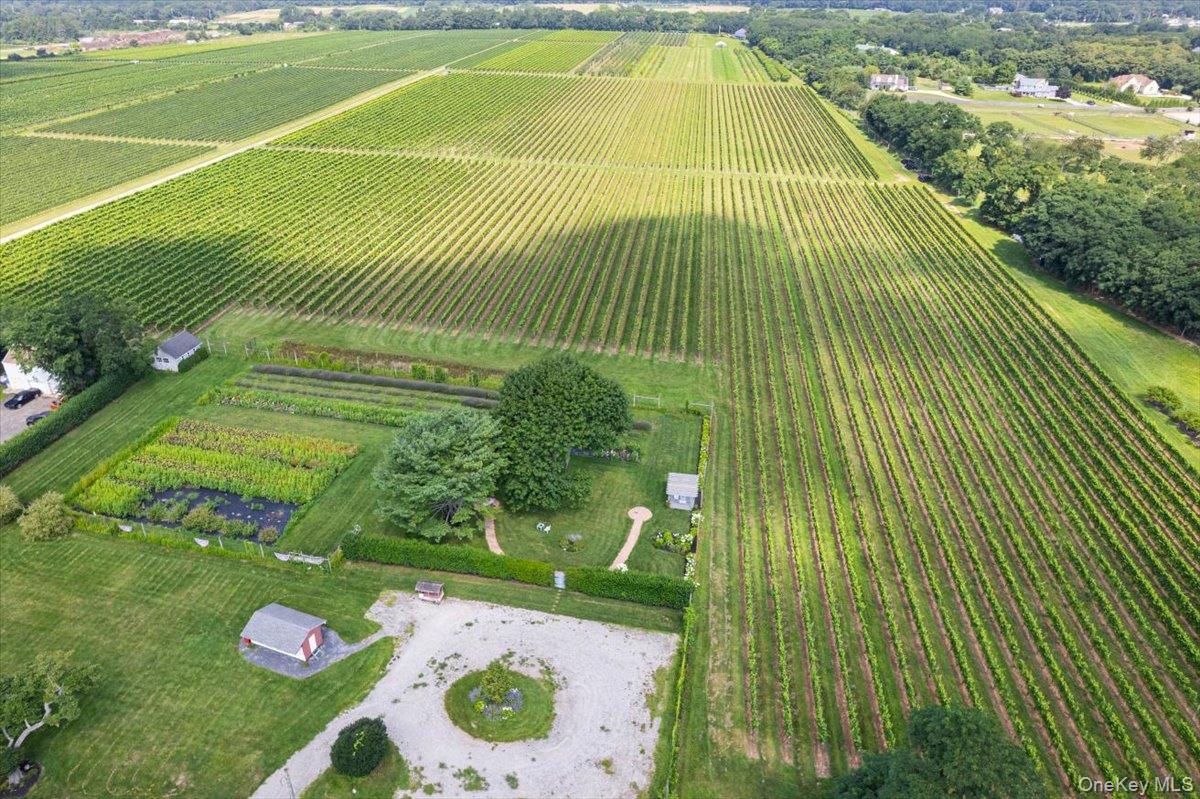 46975 Main Road Property Photo 3