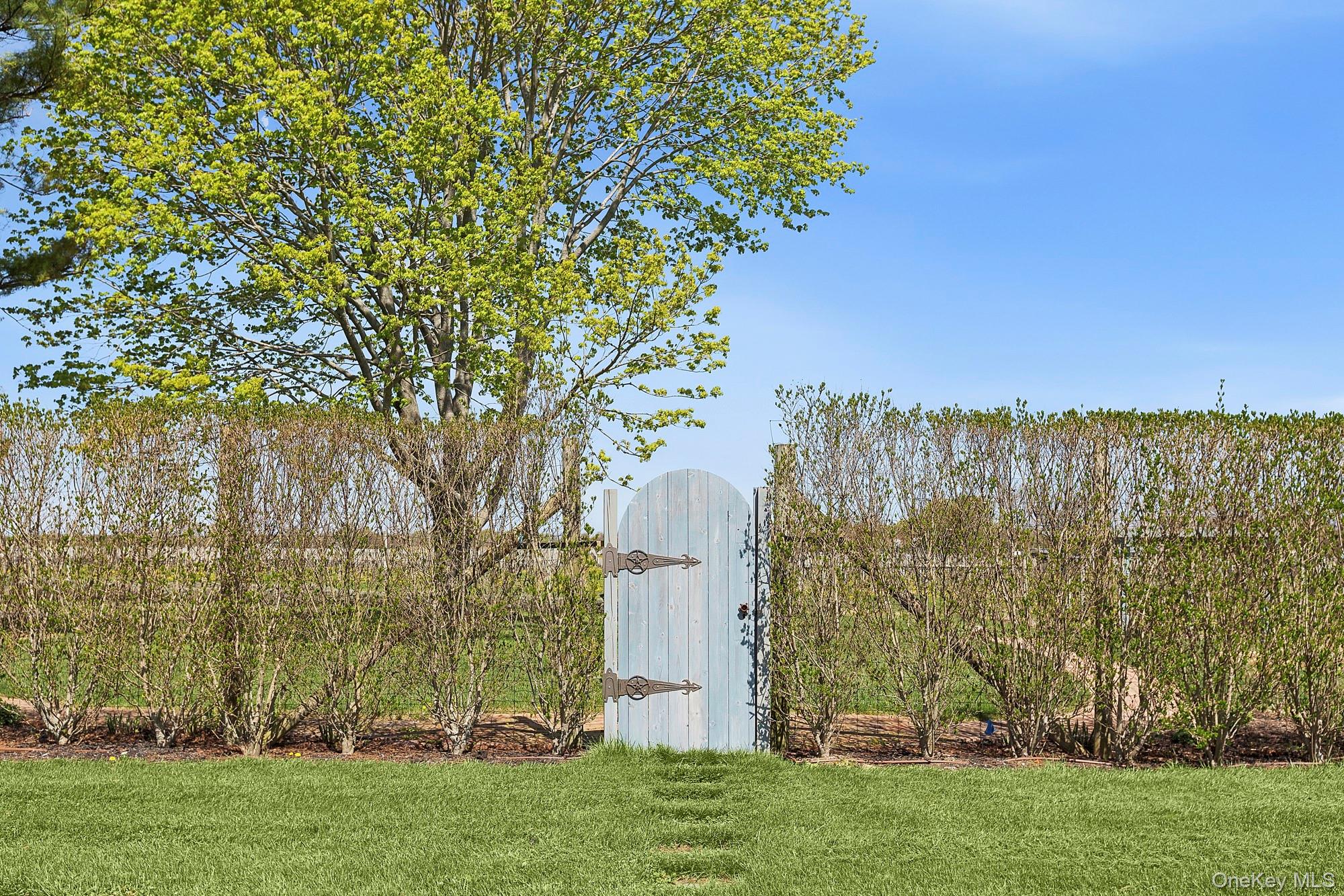 46975 Main Road Property Photo 19