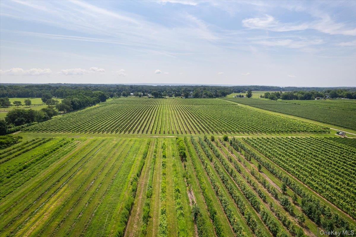 46975 Main Road Property Photo 23