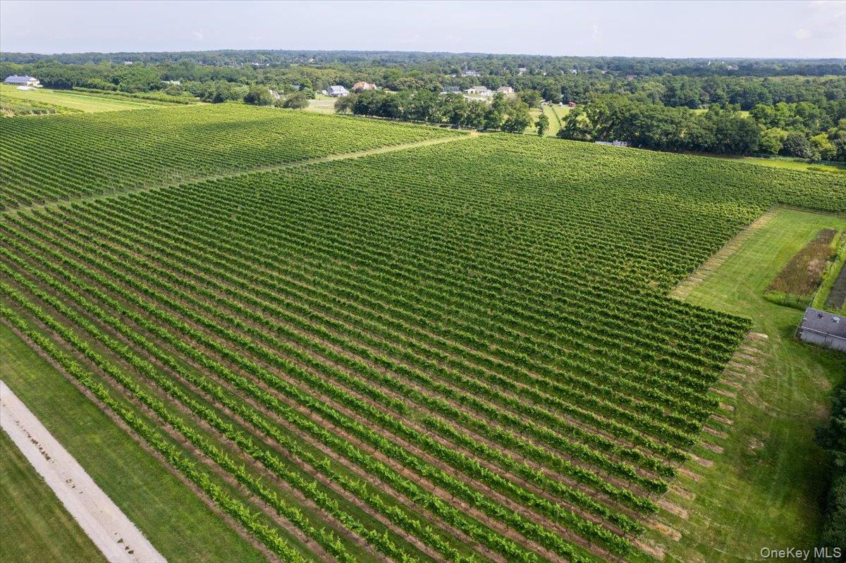46975 Main Road Property Photo 28