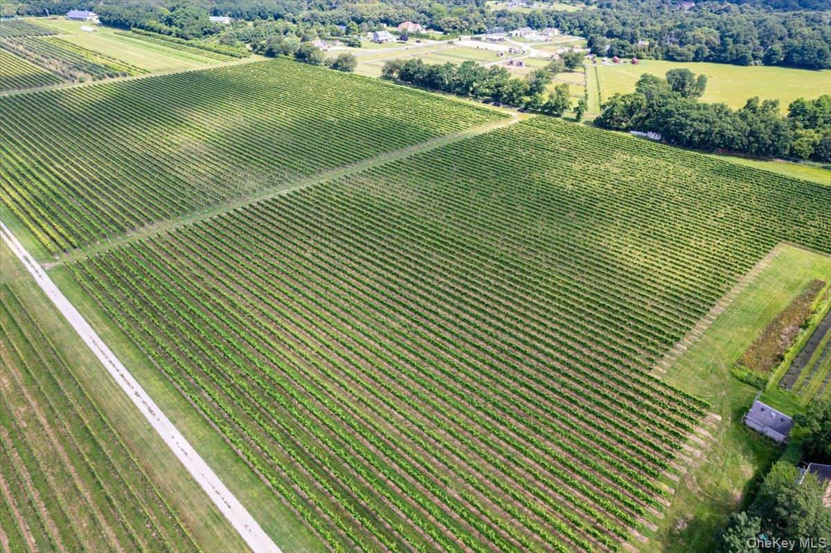 46975 Main Road Property Photo 29