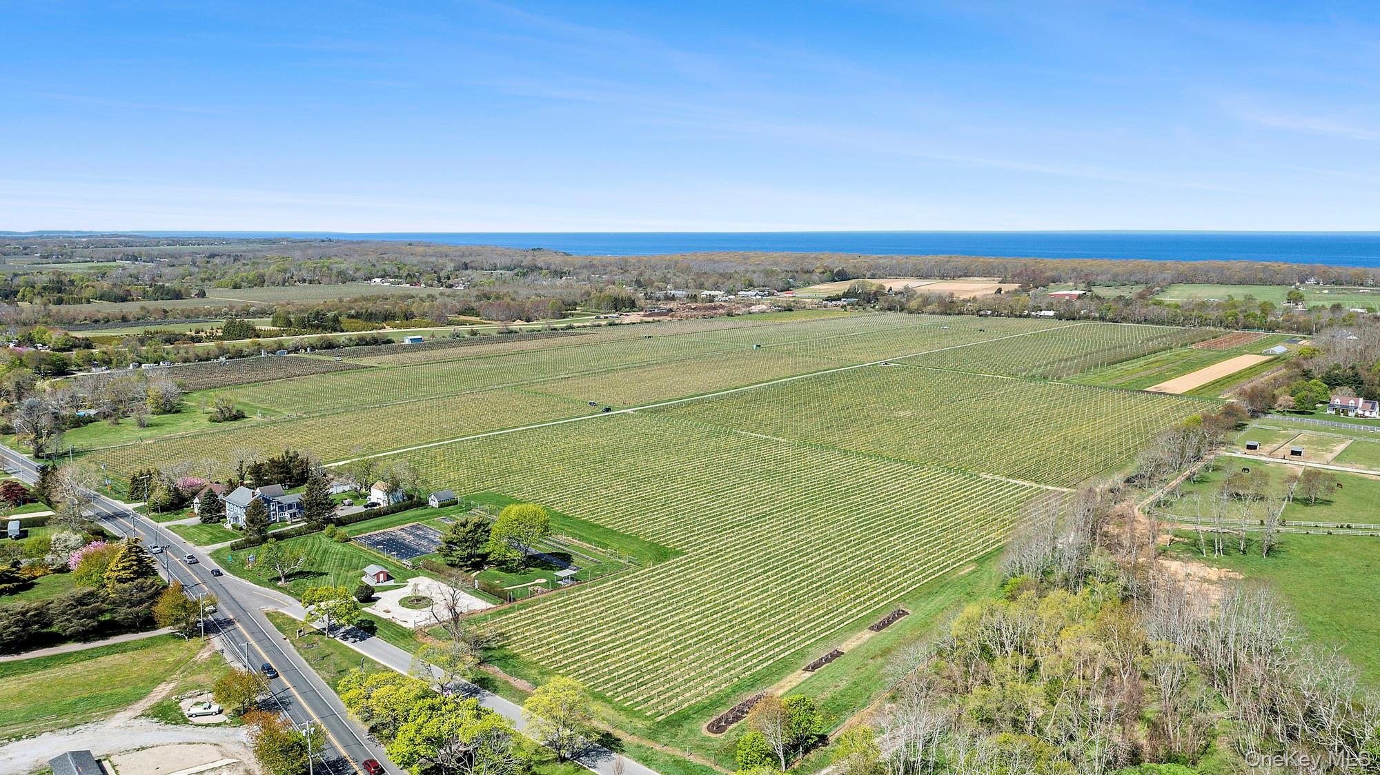 46975 Main Road Property Photo 30