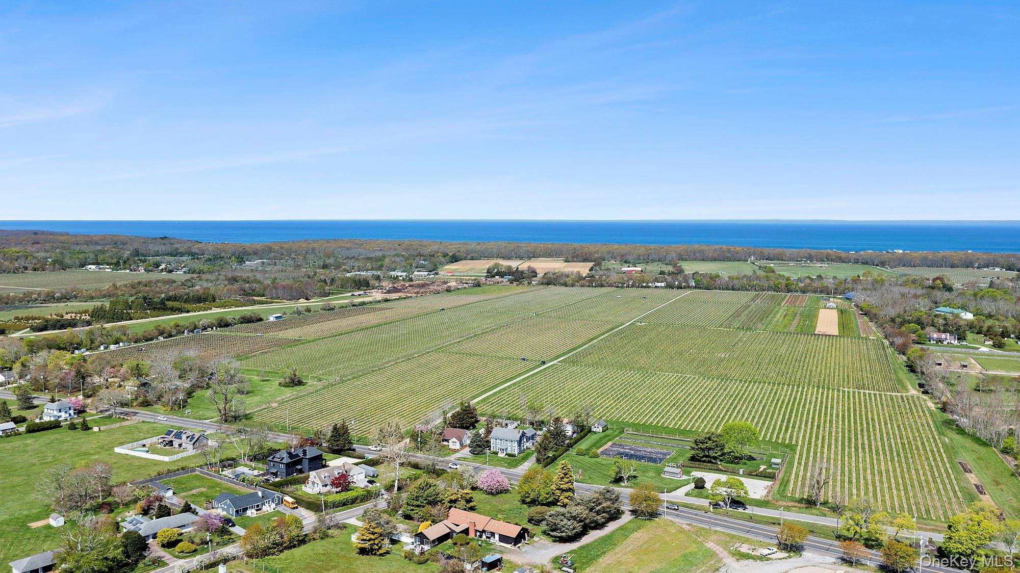46975 Main Road Property Photo 31