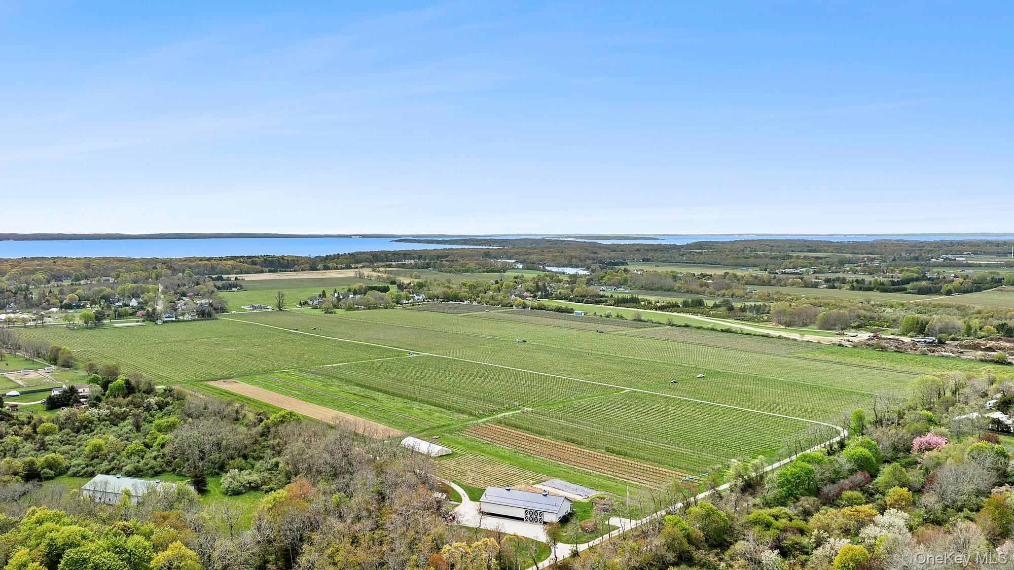46975 Main Road Property Photo 33
