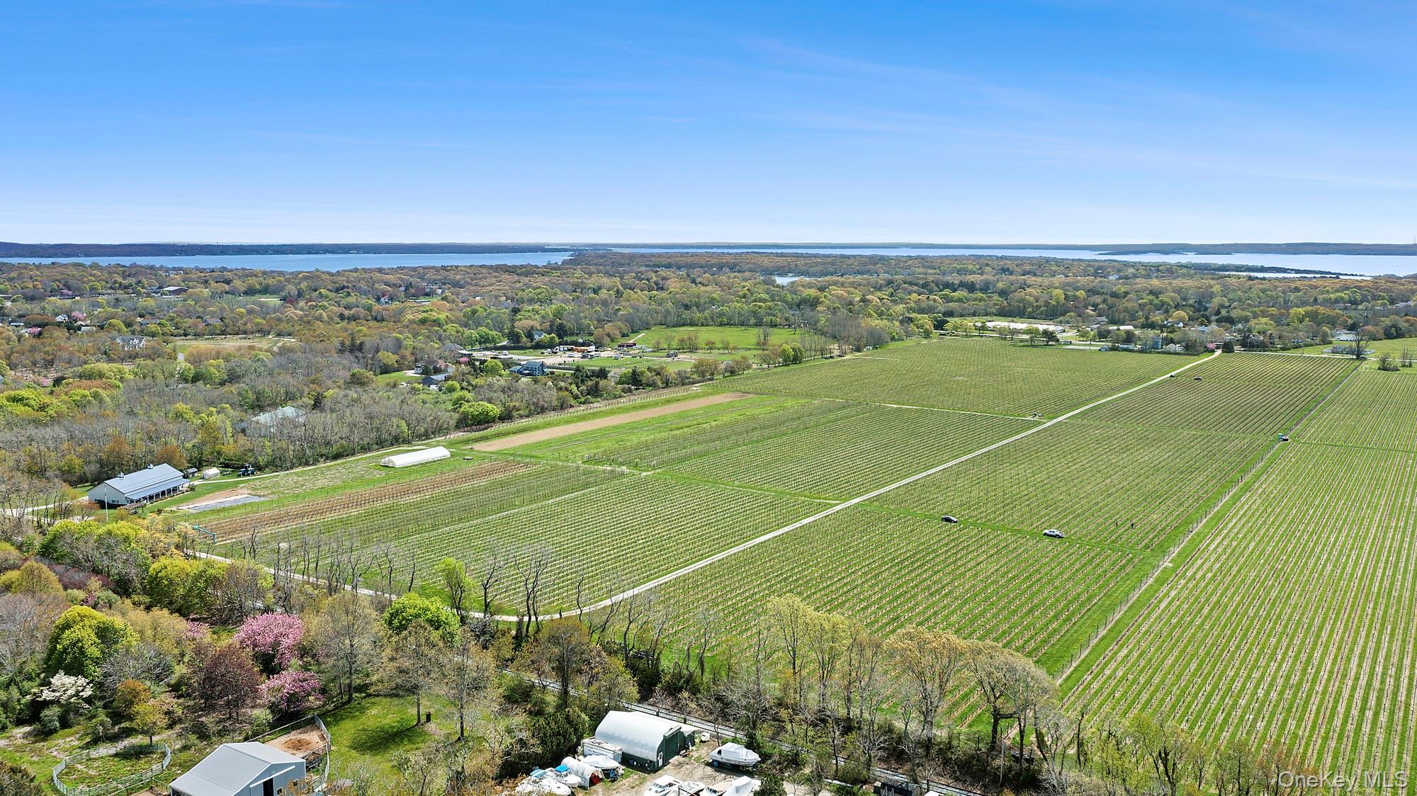 46975 Main Road Property Photo 34