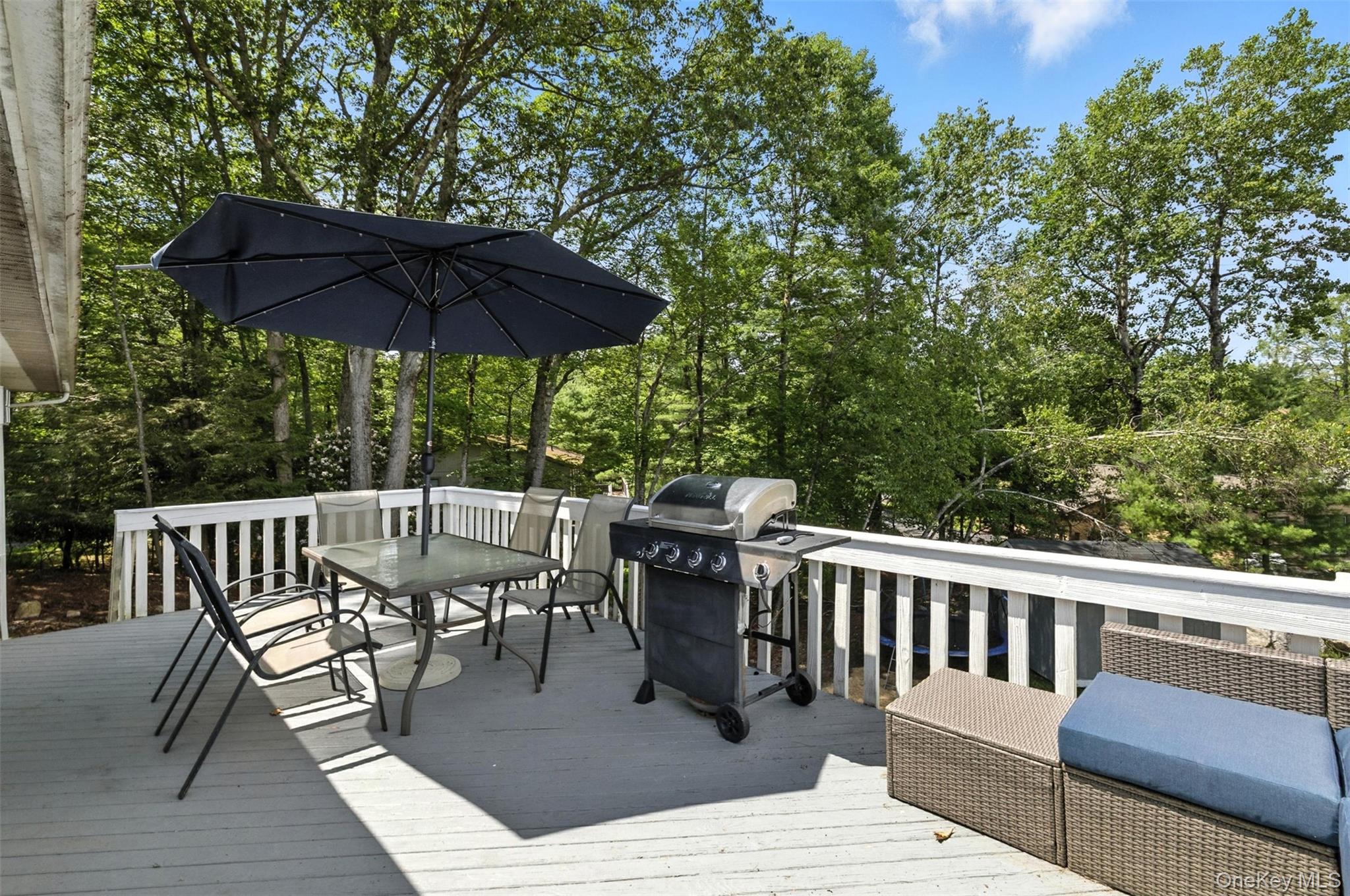 135 Lake Shore Drive Property Photo 30