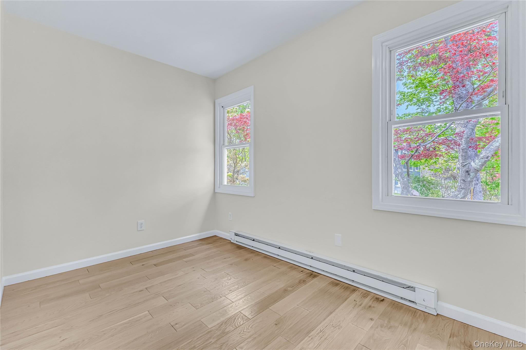 44 Somerset Road Property Photo 15