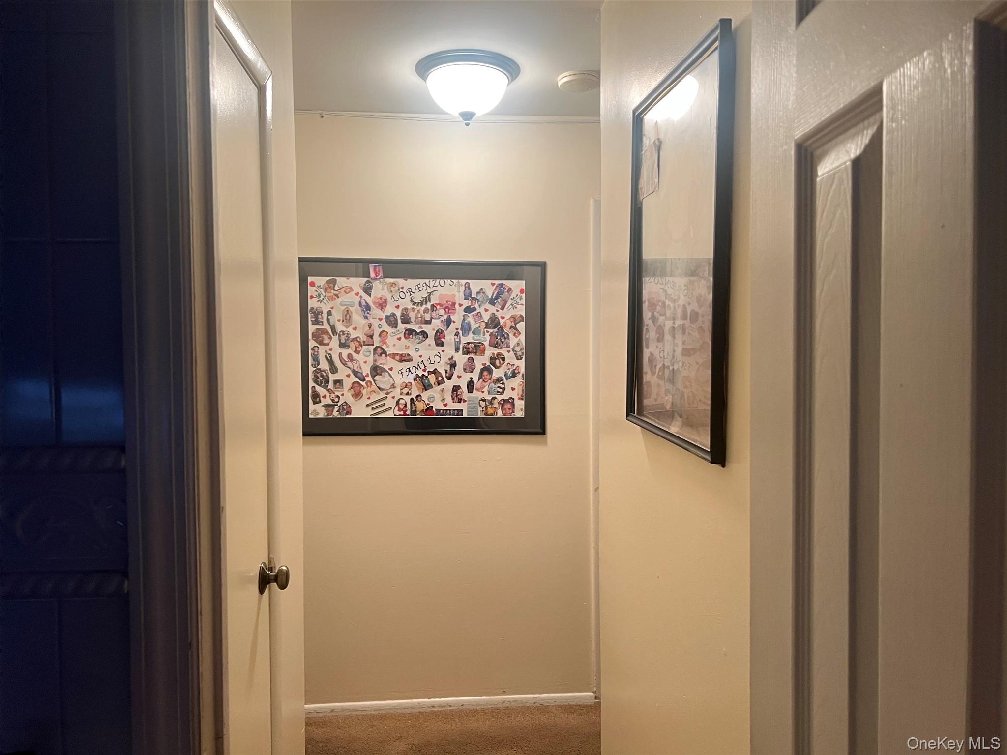 14 Vanata Court Property Photo 11