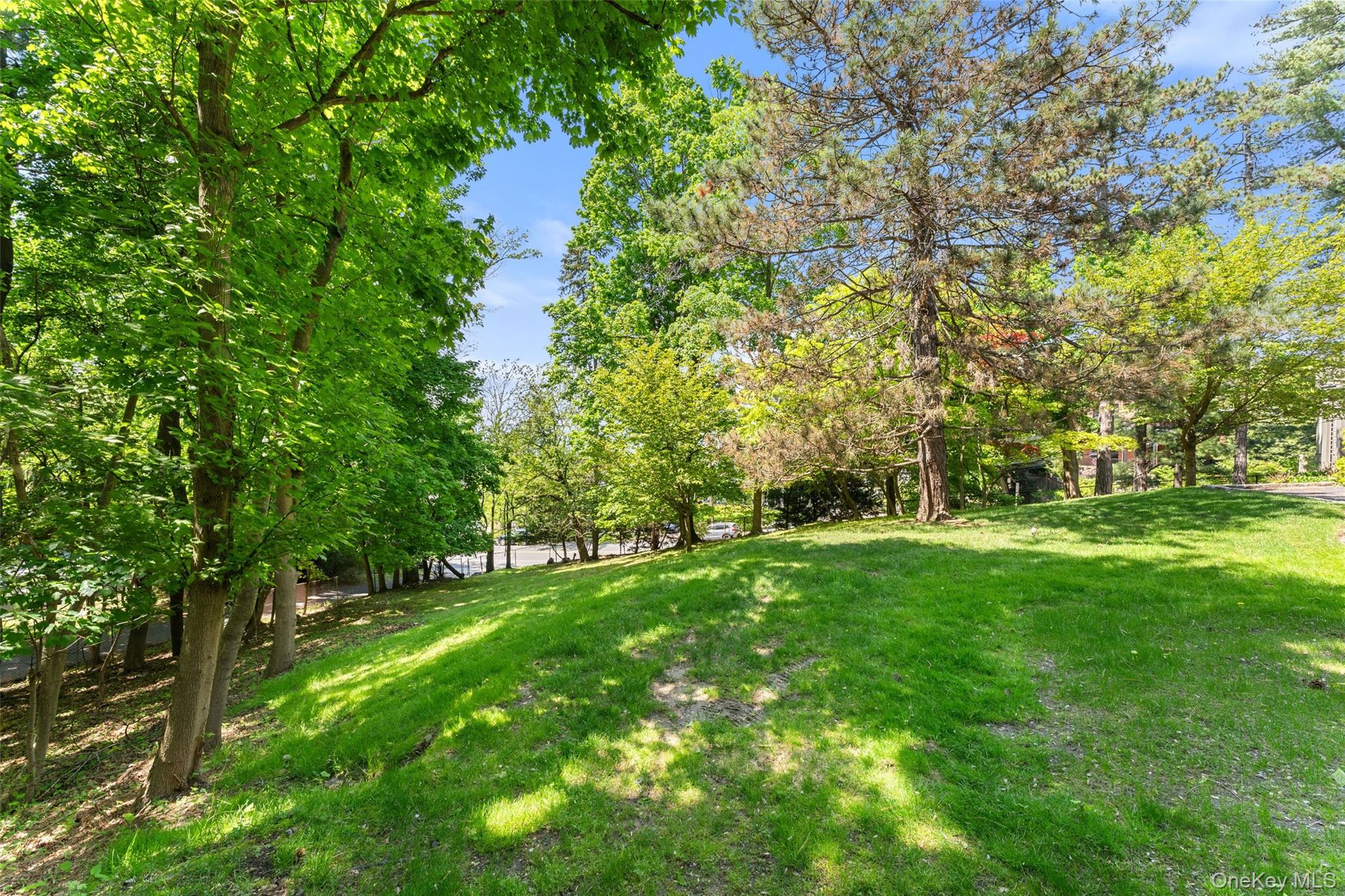 12c Clinton Avenue Property Photo 35