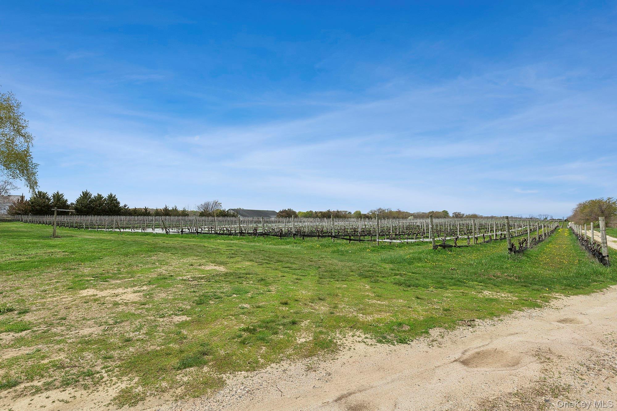 37025 Main Road Property Photo 6