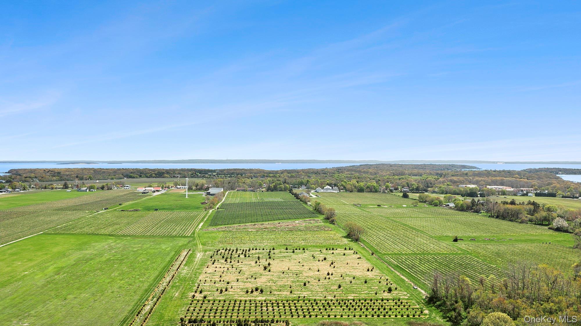 37025 Main Road Property Photo 9