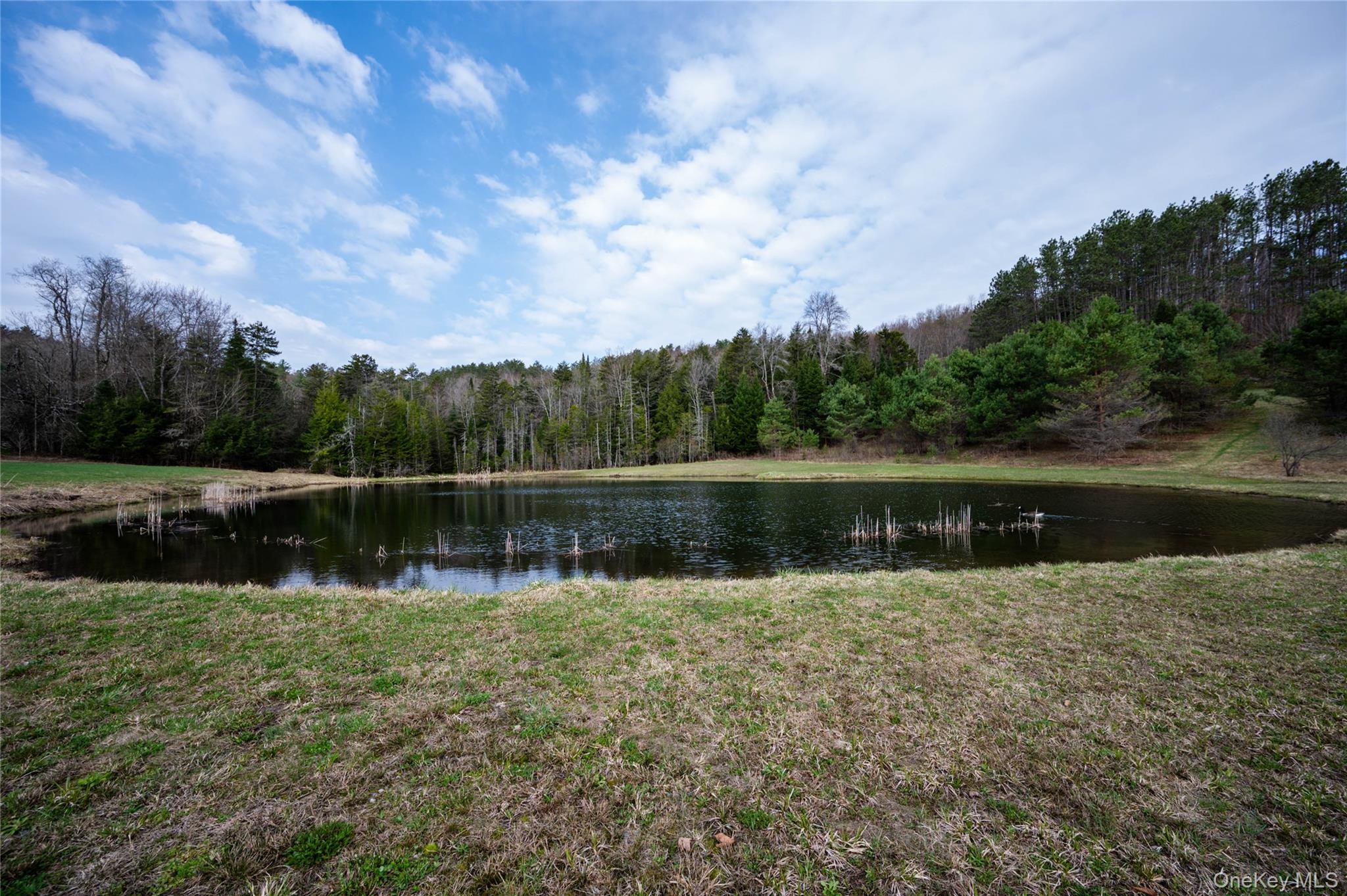 849 Hurricane Road Property Photo 40