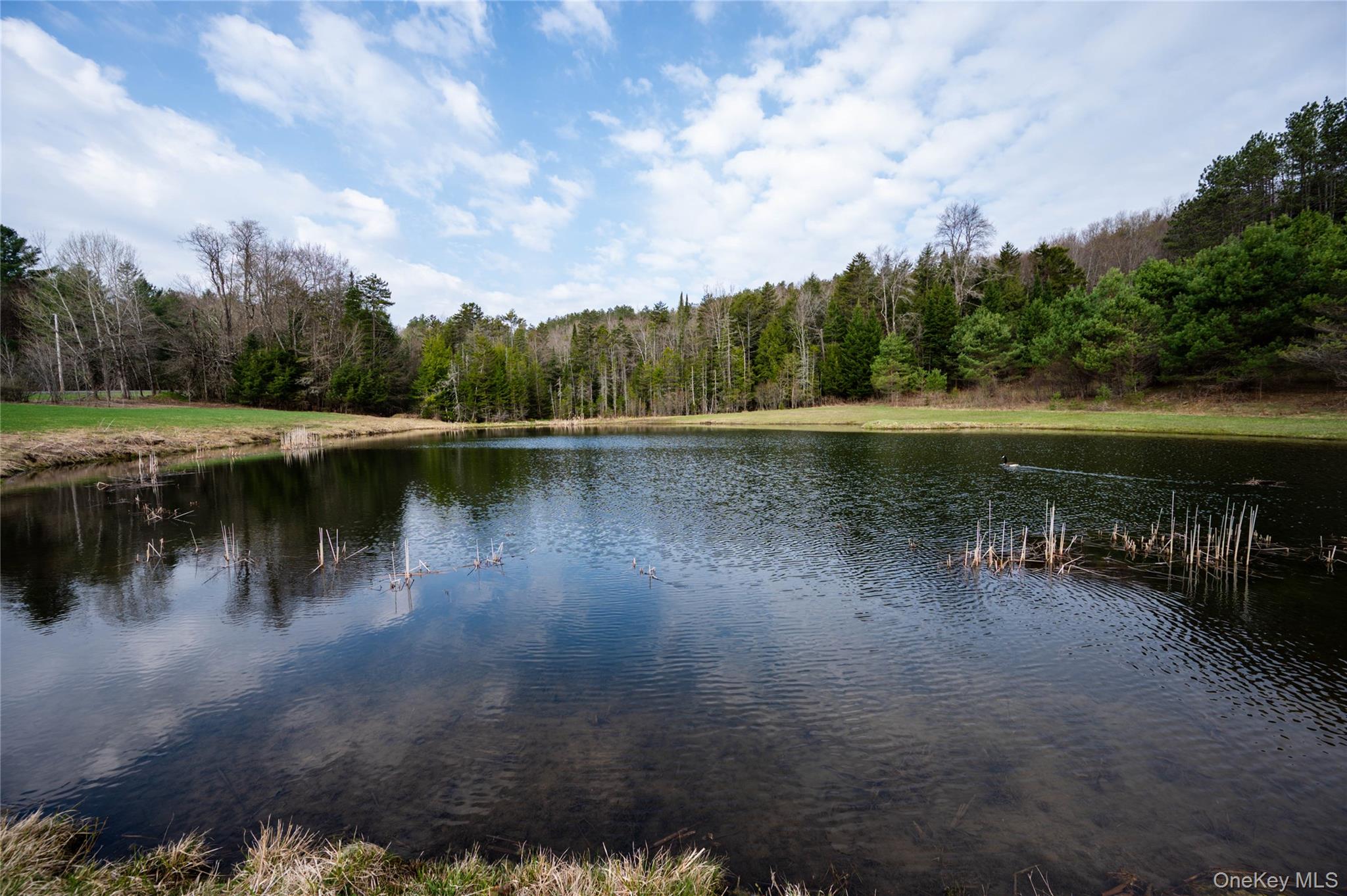 849 Hurricane Road Property Photo 41