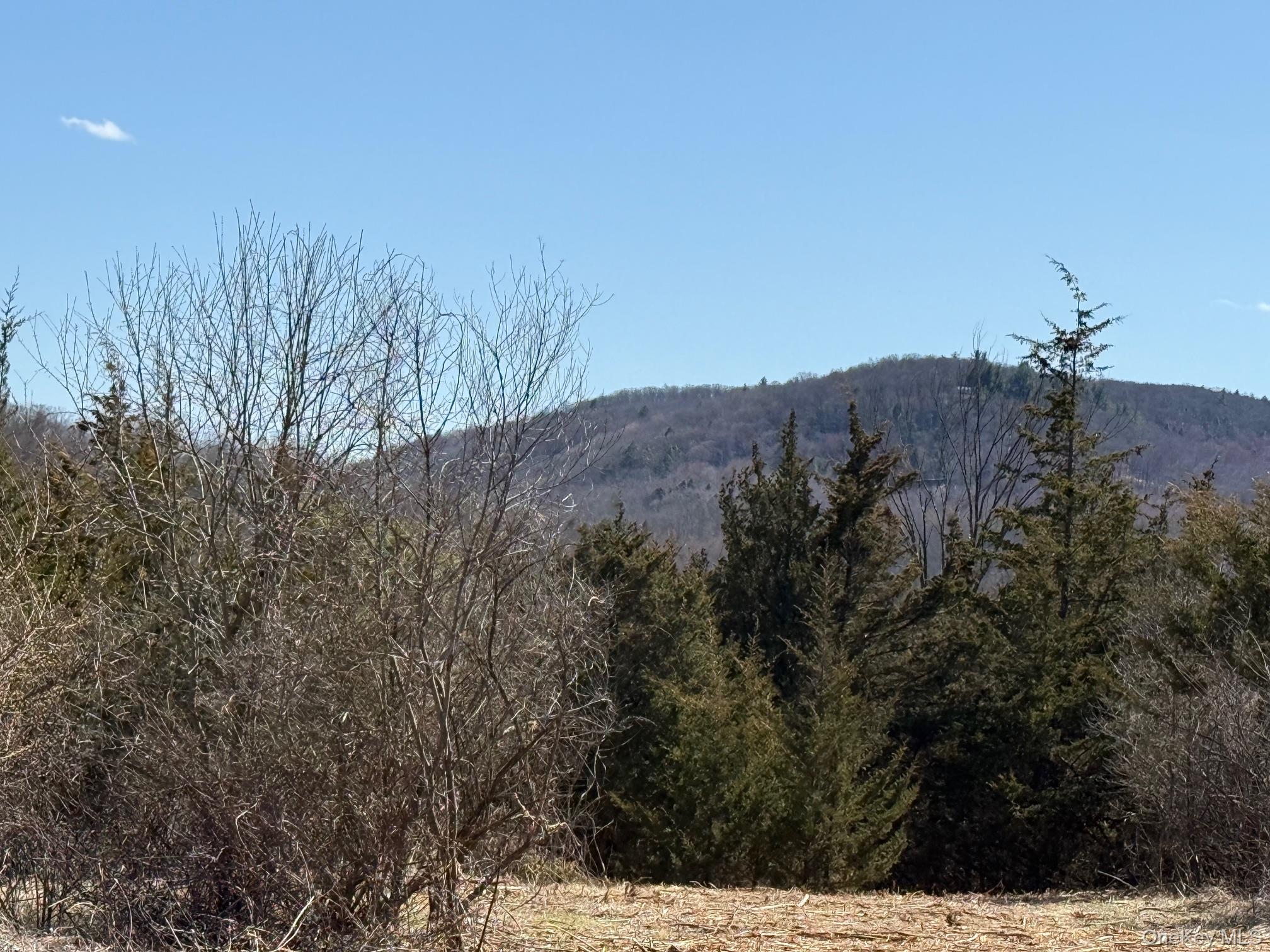 #2 Lot #2 Westerly Ridge Drive Property Photo 5