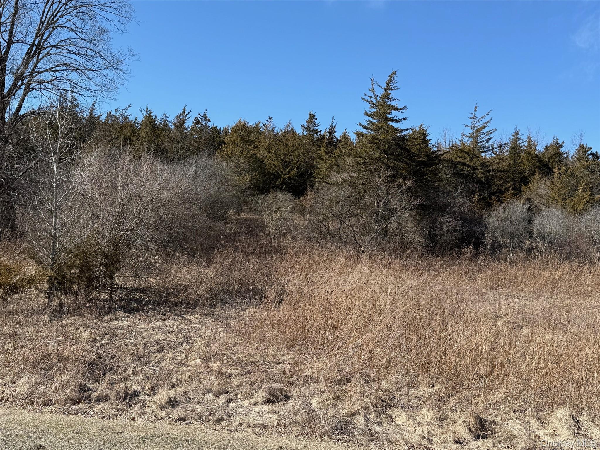#2 Lot #2 Westerly Ridge Drive Property Photo 8
