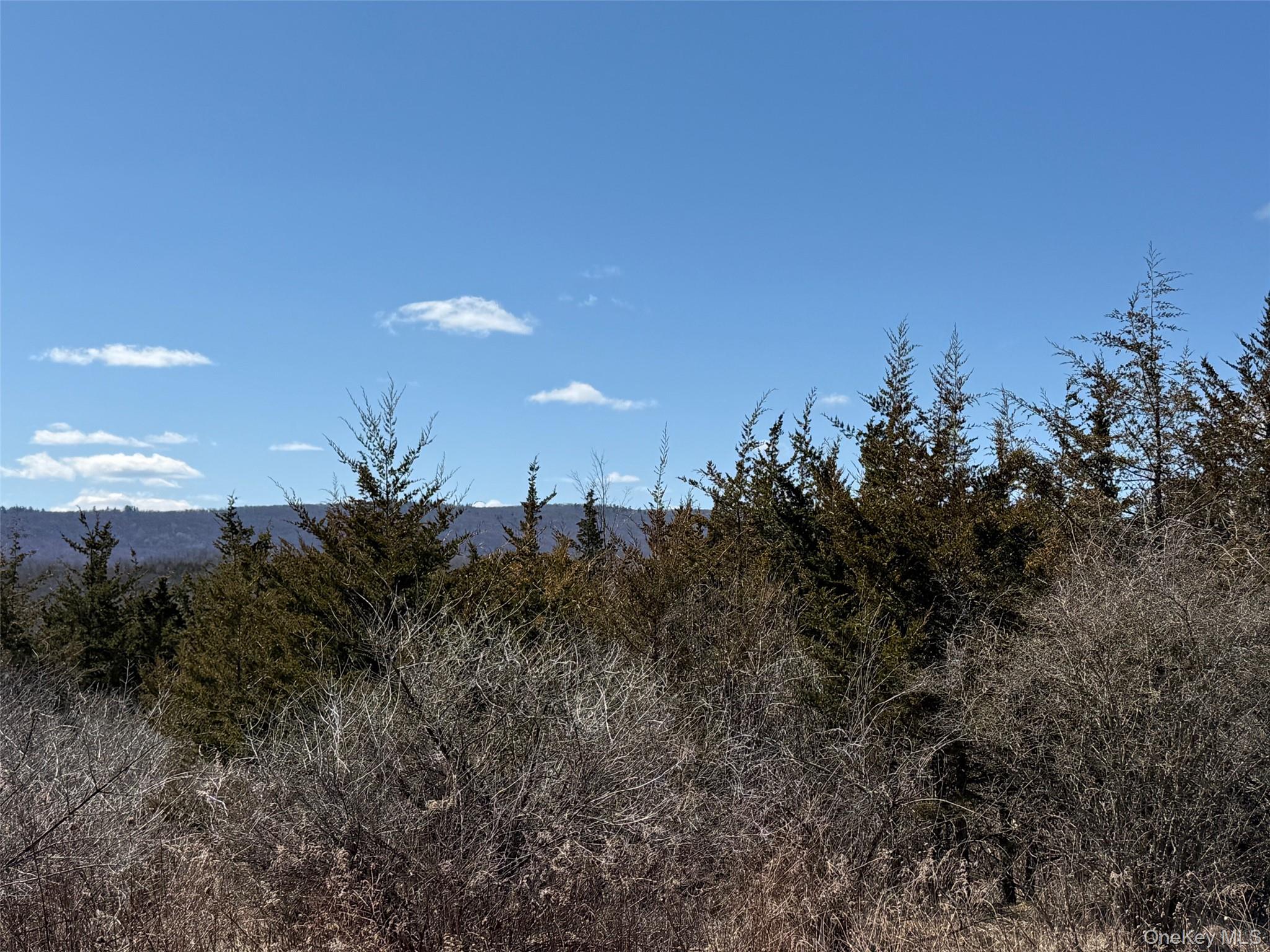 #2 Lot #2 Westerly Ridge Drive Property Photo 9