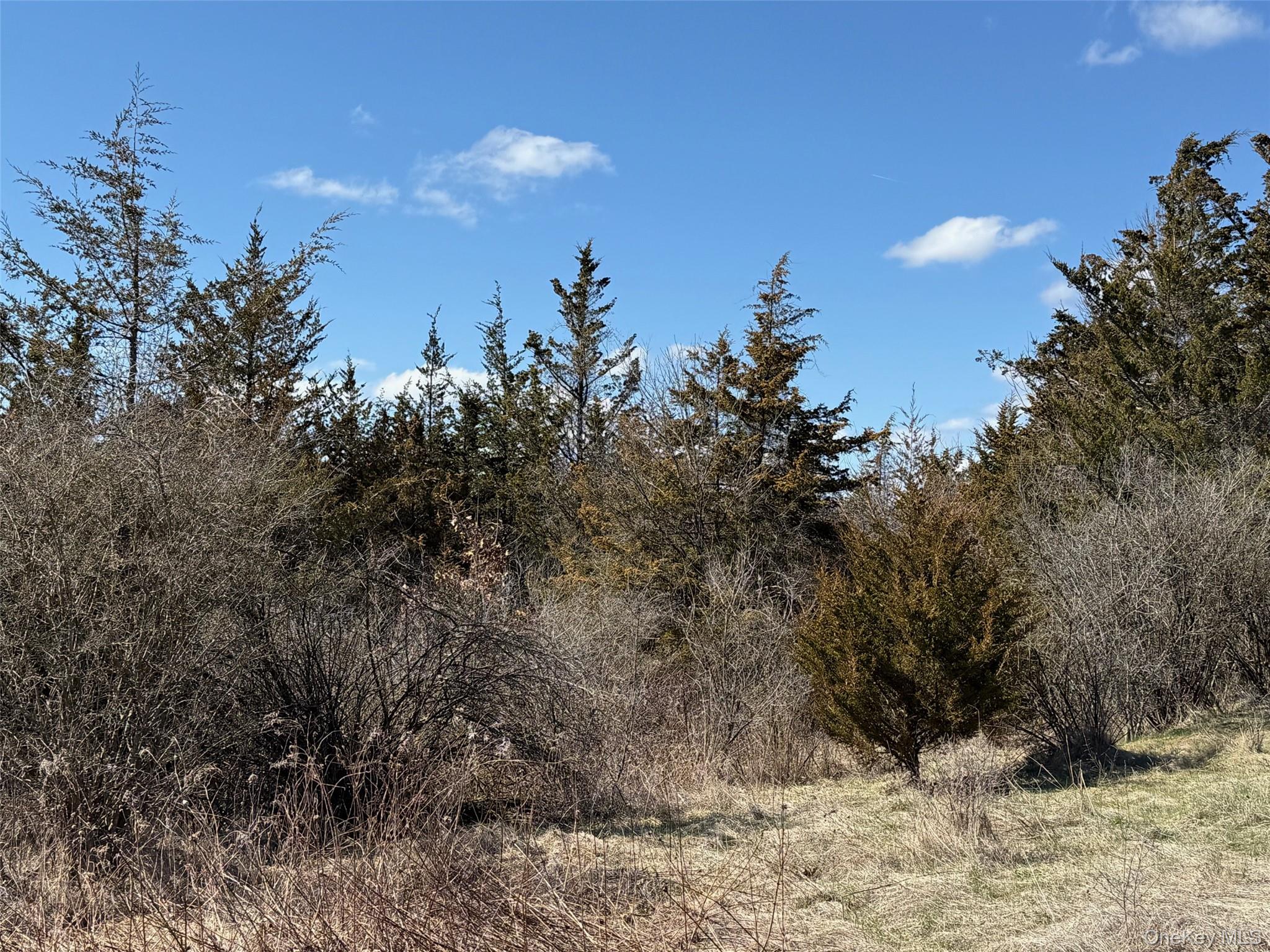 #2 Lot #2 Westerly Ridge Drive Property Photo 10