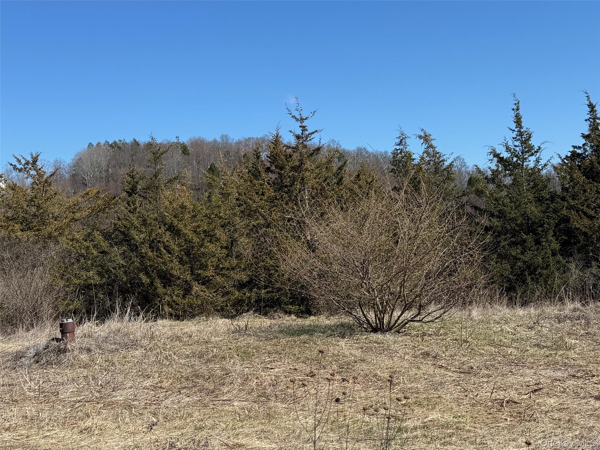 #2 Lot #2 Westerly Ridge Drive Property Photo 12