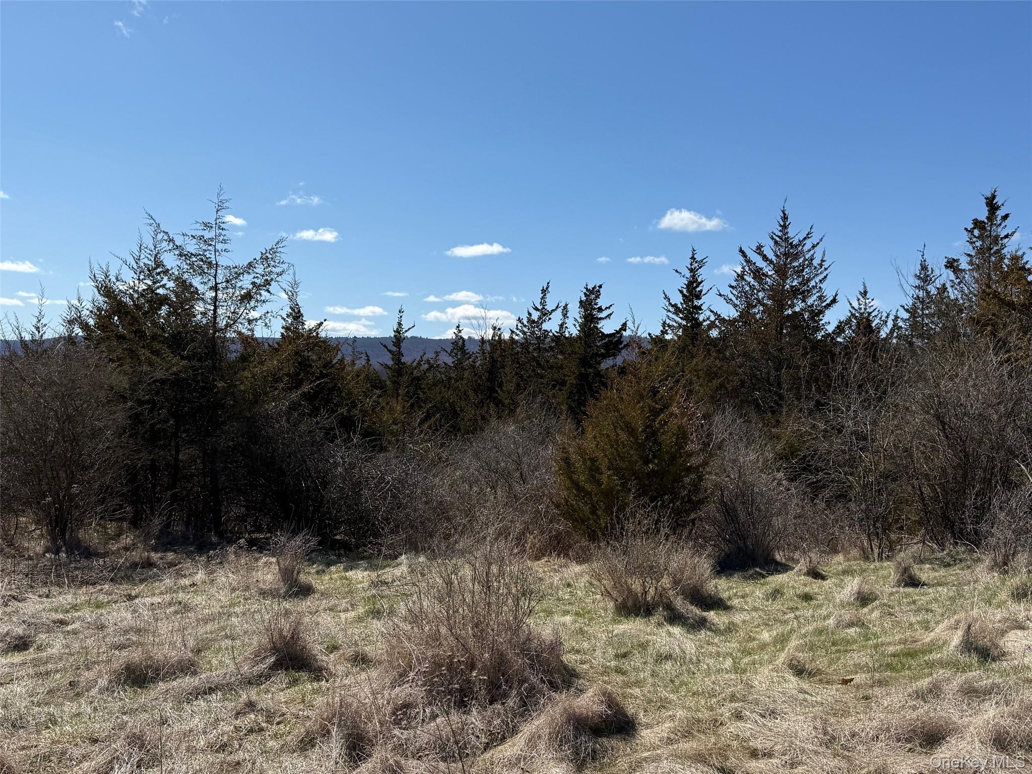 #2 Lot #2 Westerly Ridge Drive Property Photo 13