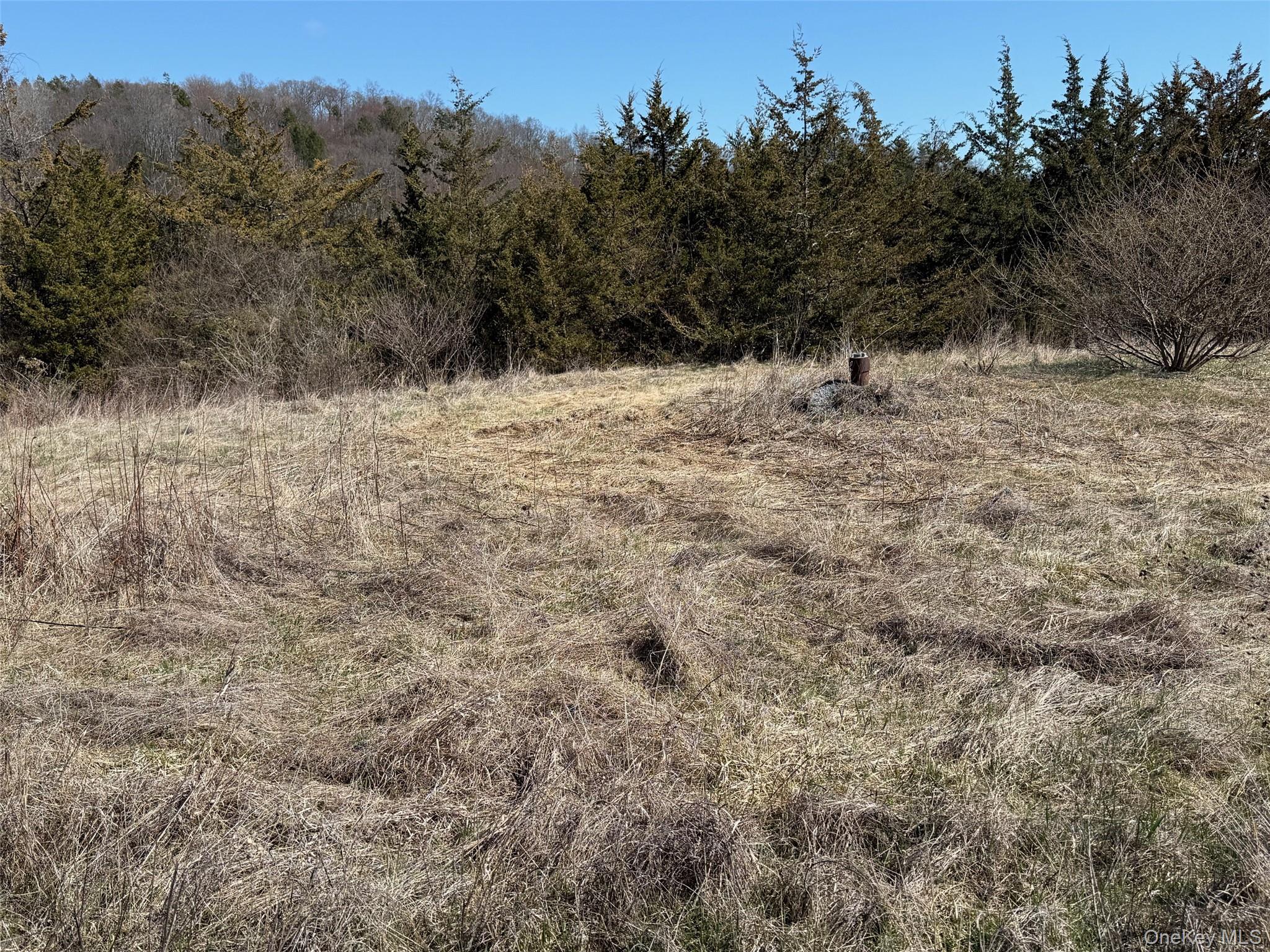 #2 Lot #2 Westerly Ridge Drive Property Photo 14