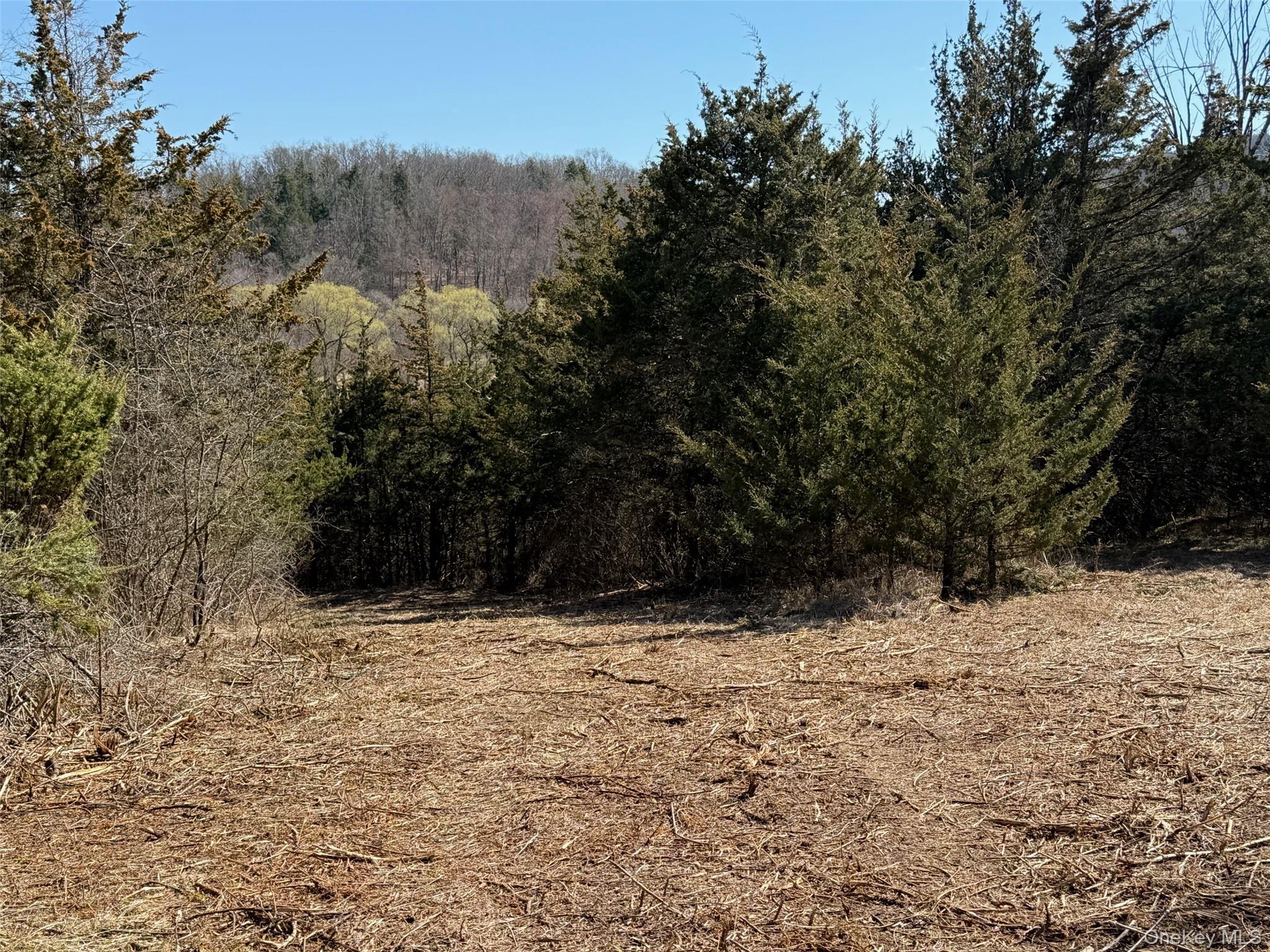 #2 Lot #2 Westerly Ridge Drive Property Photo 16