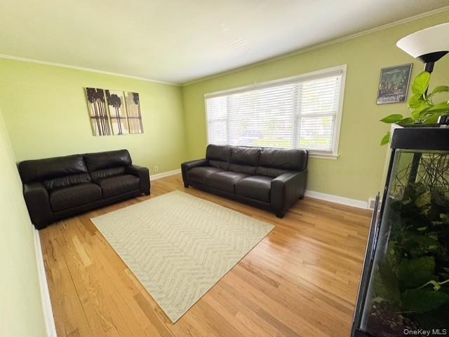 4 Powell Place Property Photo 2