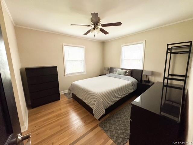 4 Powell Place Property Photo 8