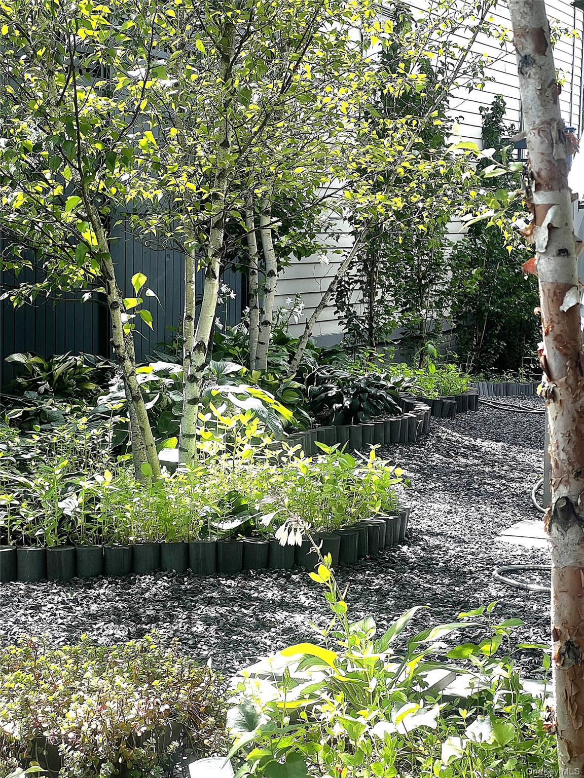 238 Allen Street Property Photo 19