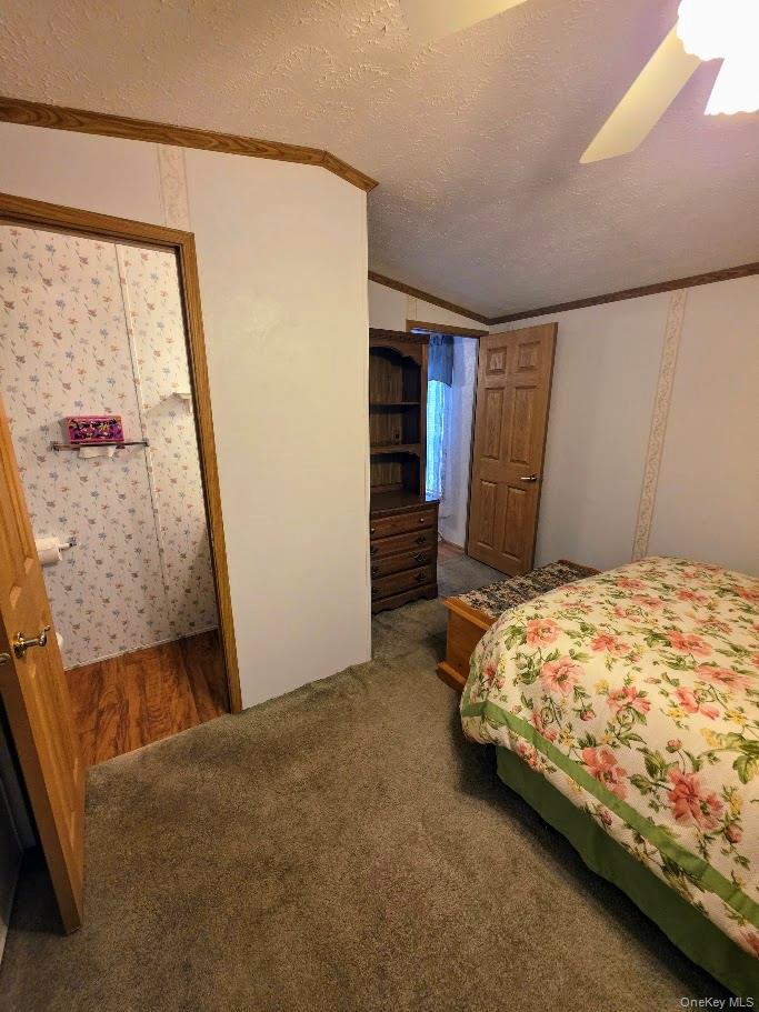37 Hubbard Avenue 74 Property Photo 13