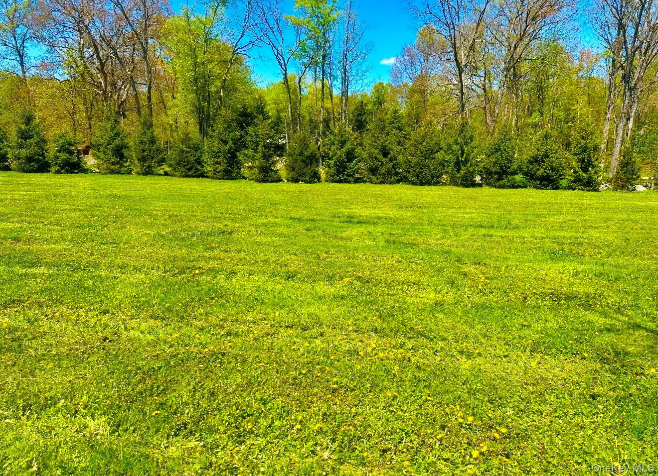 Tbd Lot #2 Quaker Street Property Photo 3