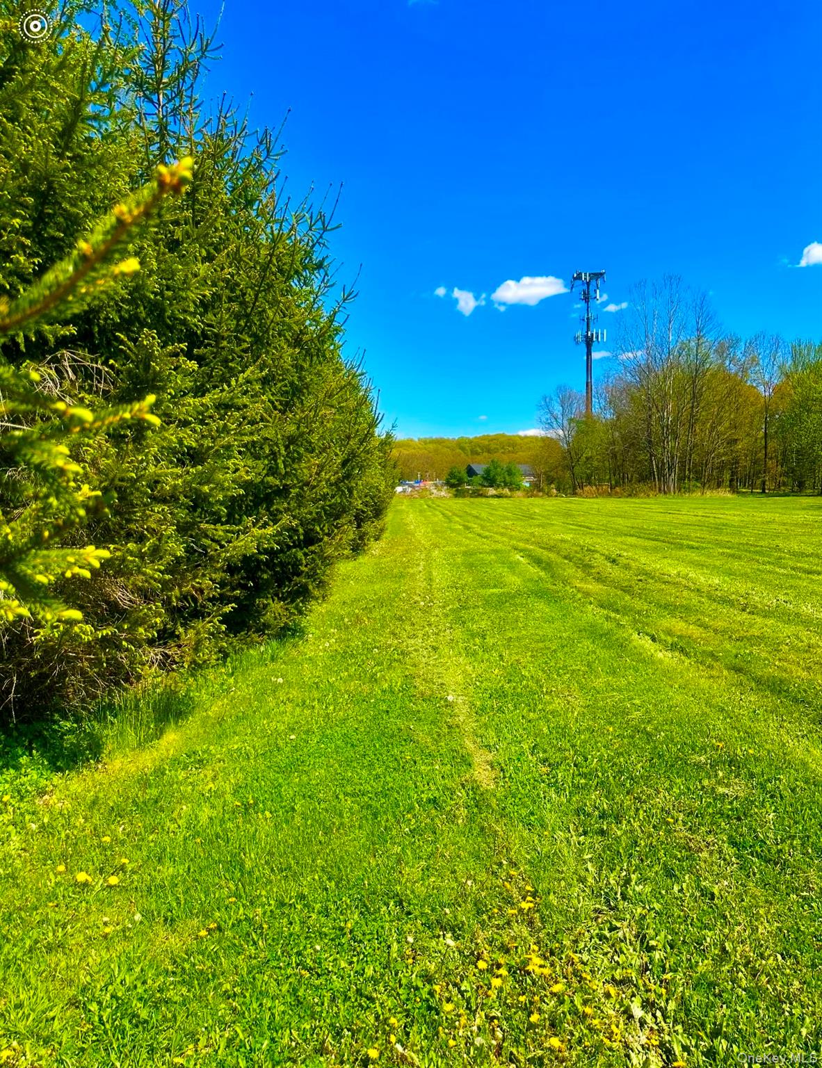 Tbd Lot#3 Quaker Street Property Photo 3