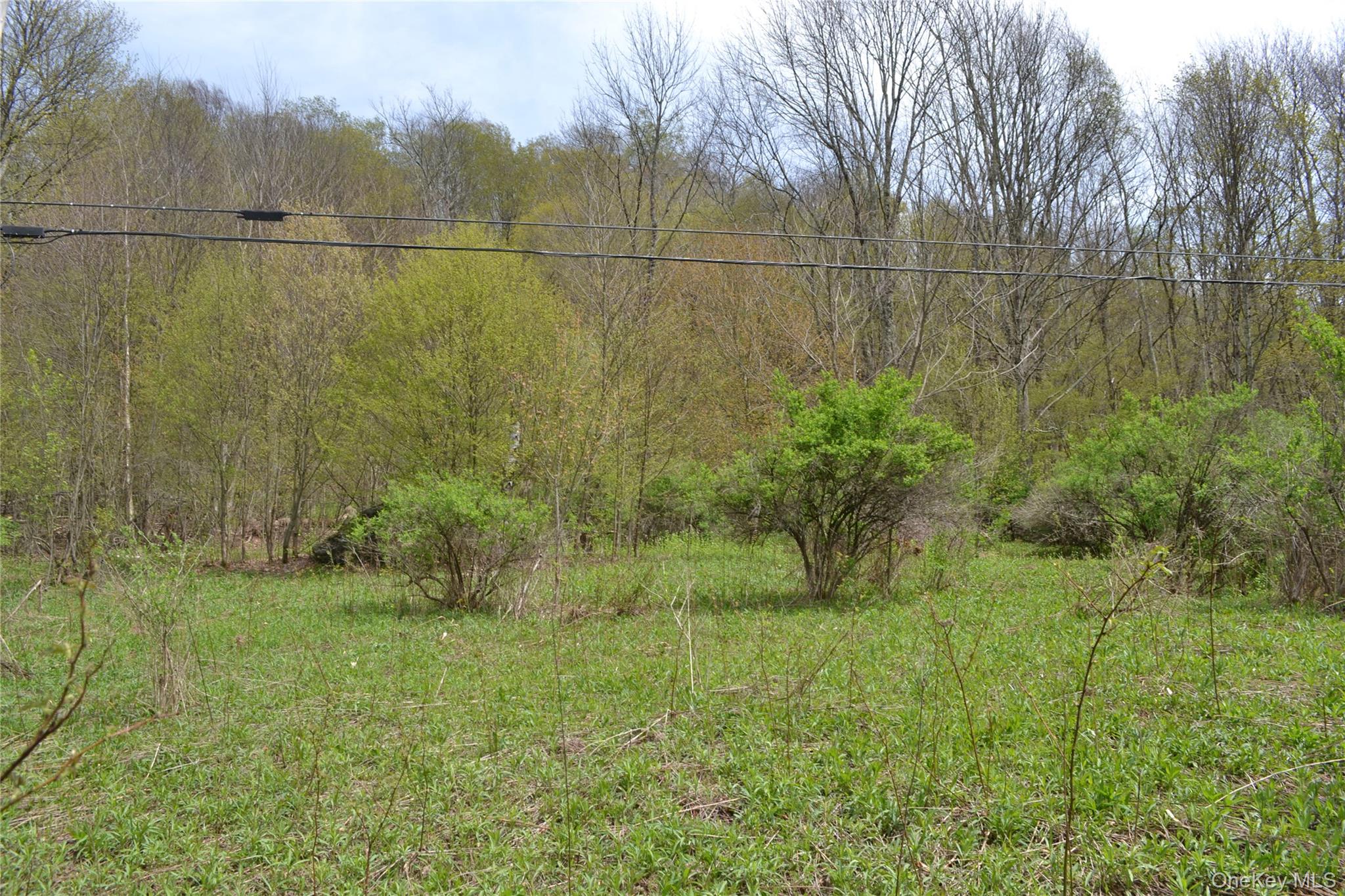 756 County Highway 21 Property Photo 29