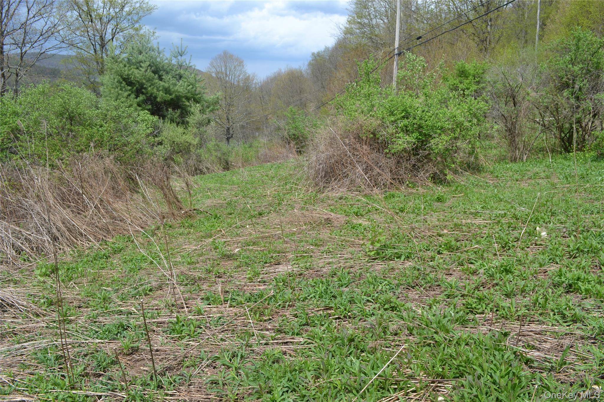 756 County Highway 21 Property Photo 30