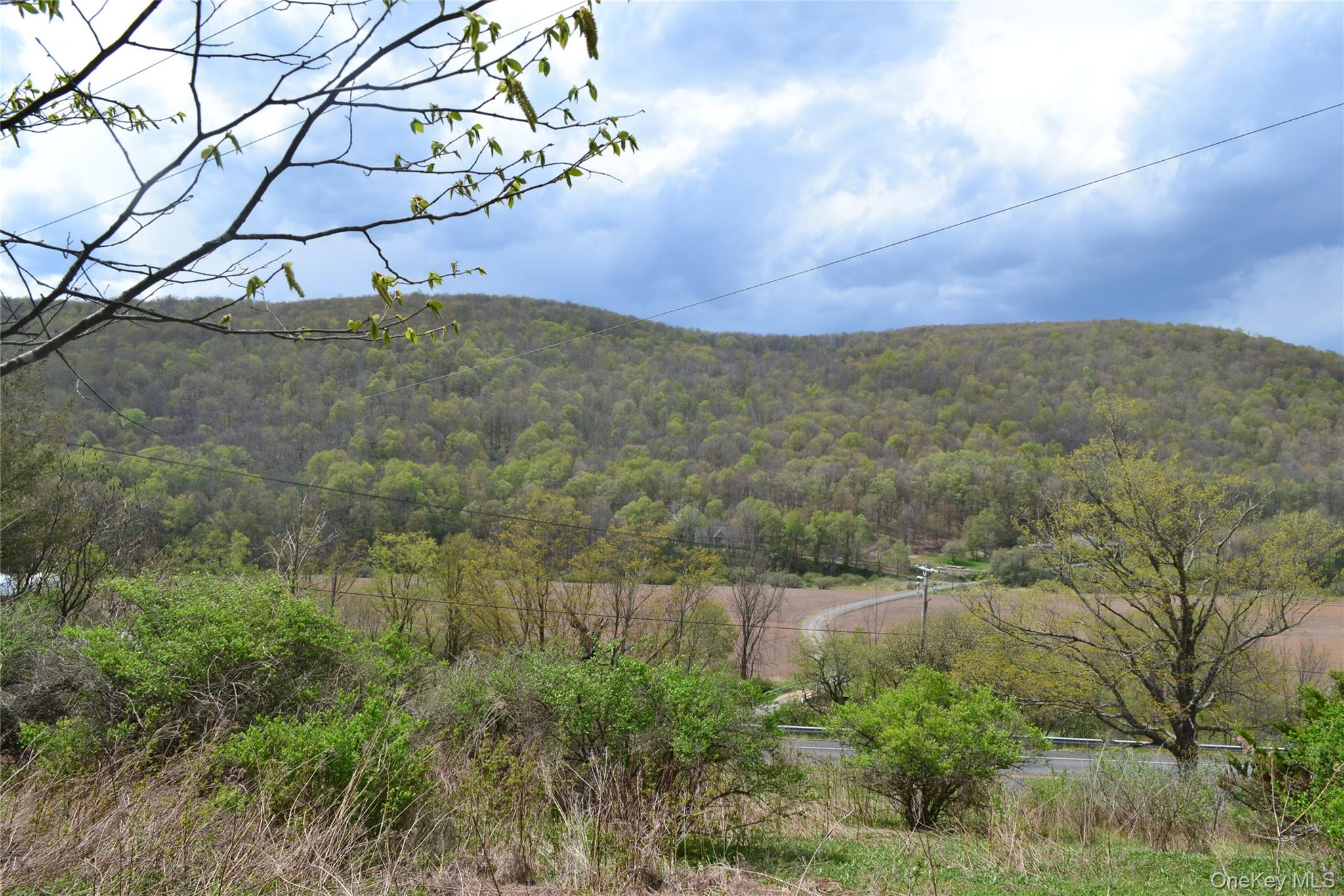 756 County Highway 21 Property Photo 31