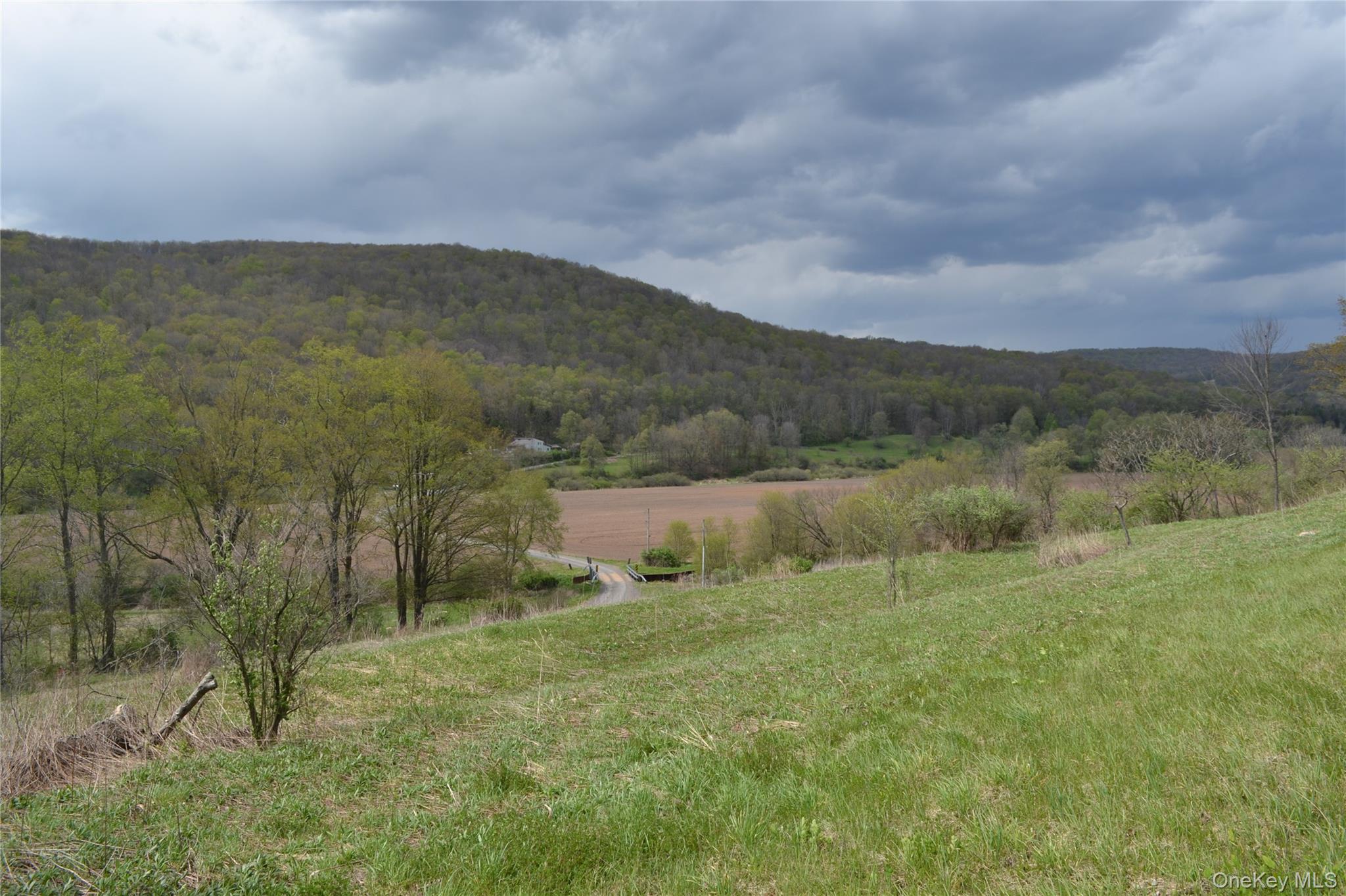 756 County Highway 21 Property Photo 34