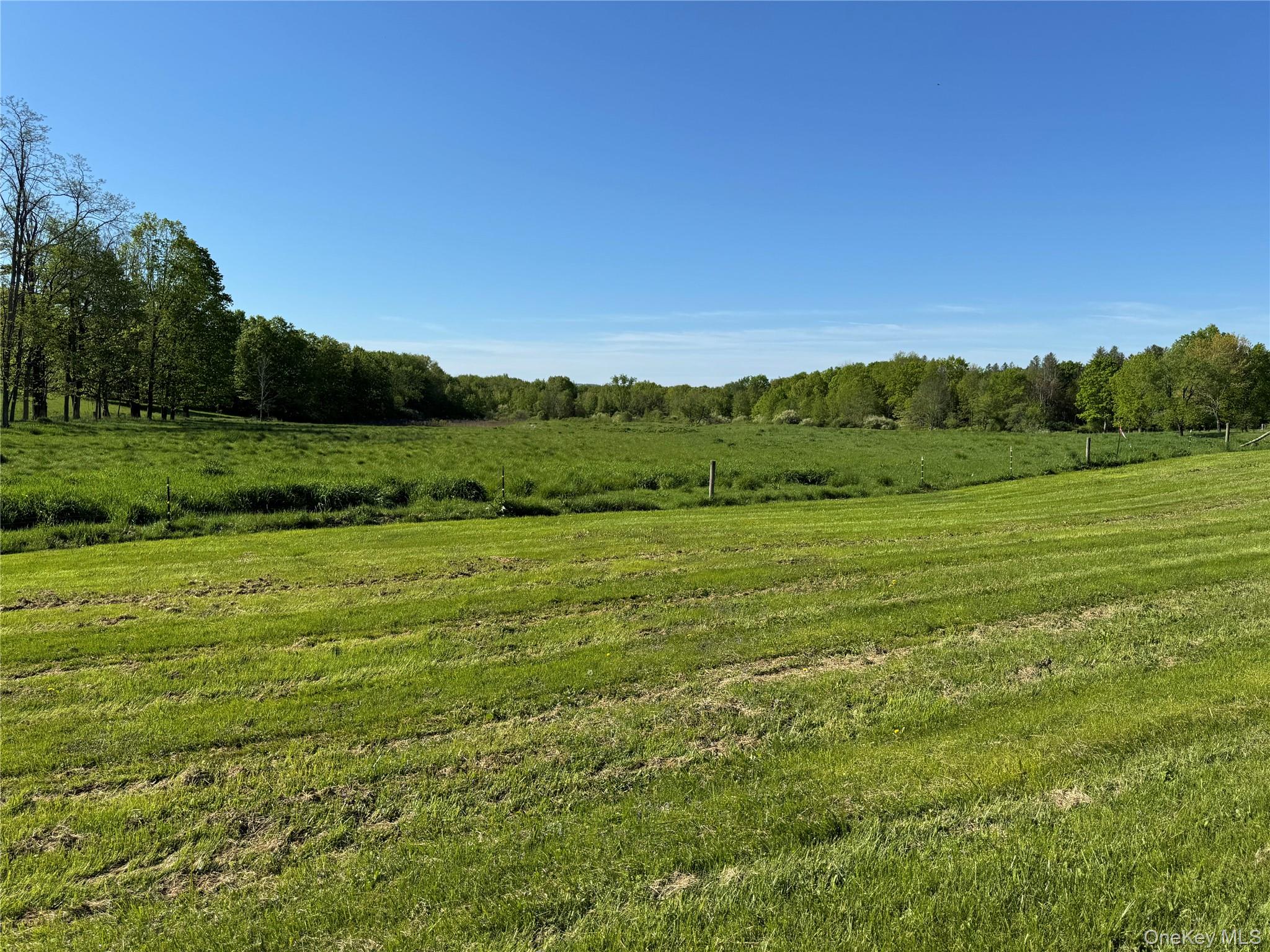Tbd Woodstock Road Property Photo 4