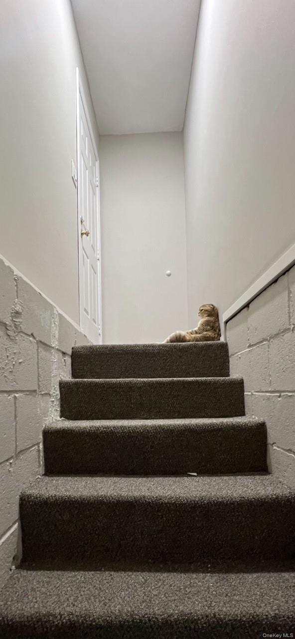 787 Frankford Road Property Photo 23